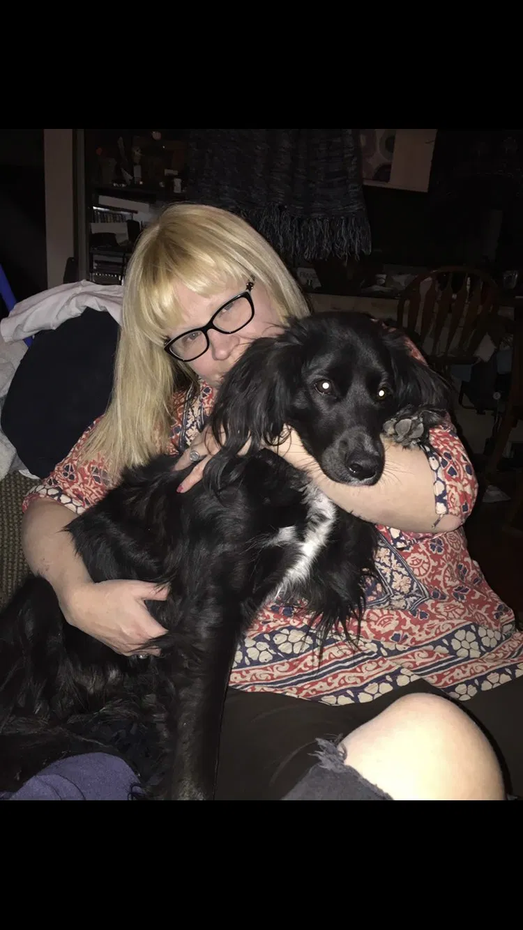 Lost dog in Albuquerque, NM, 87109