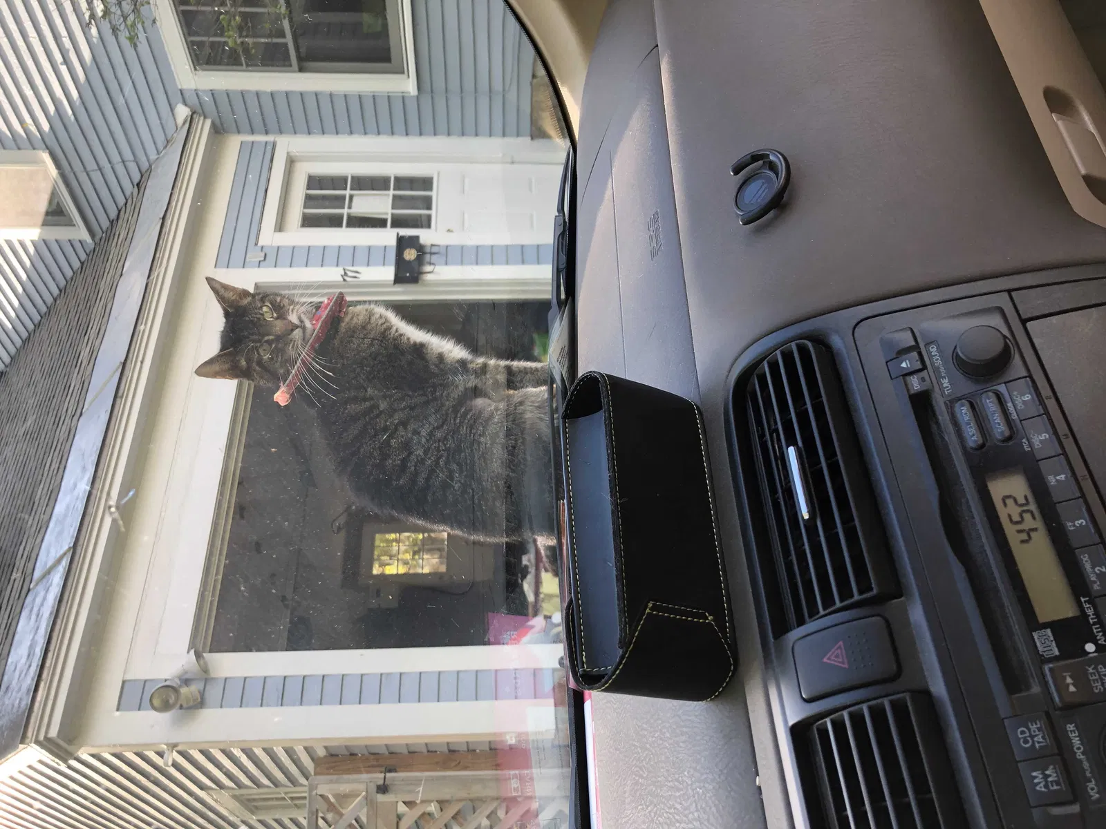 Lost cat in Brattleboro, VT, 5301