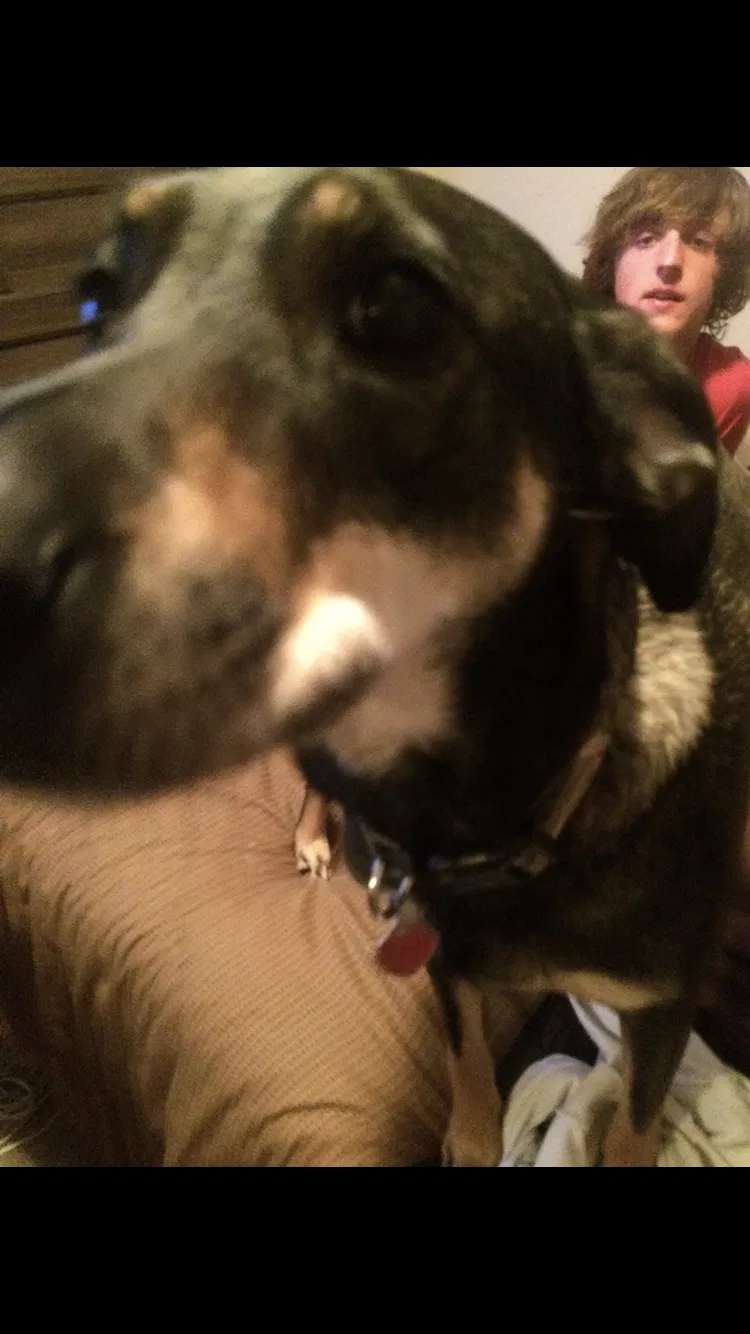 Lost dog in Ranger, GA, 30734