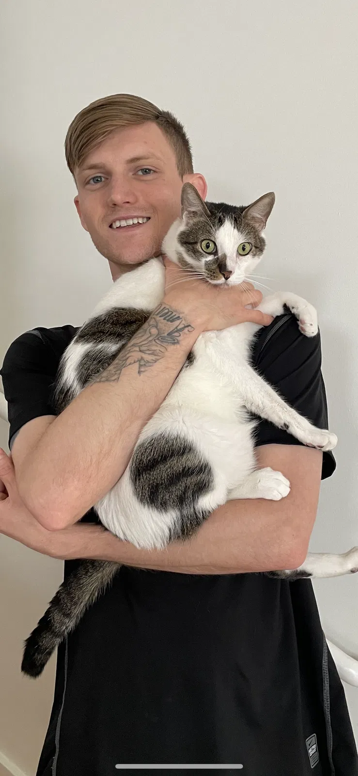 Lost cat in Dallas, TX, 75205