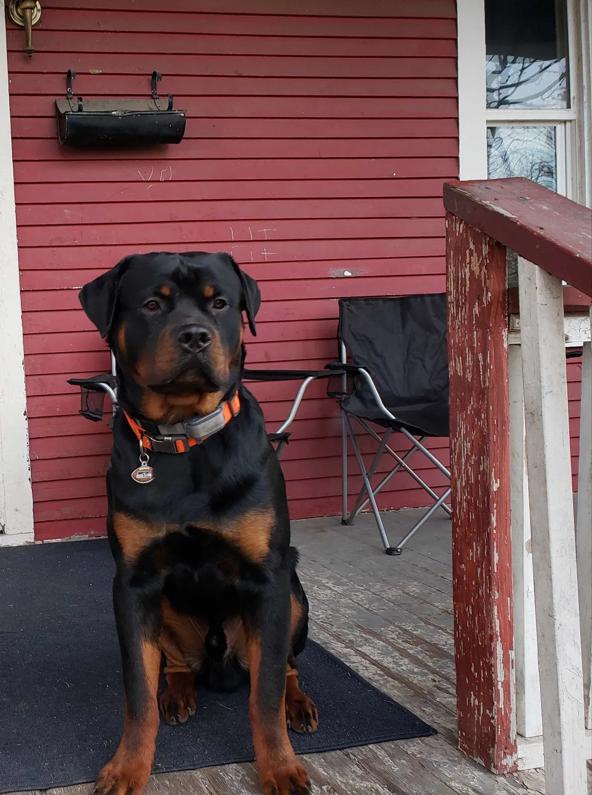 Lost dog in Spokane, WA, 99202