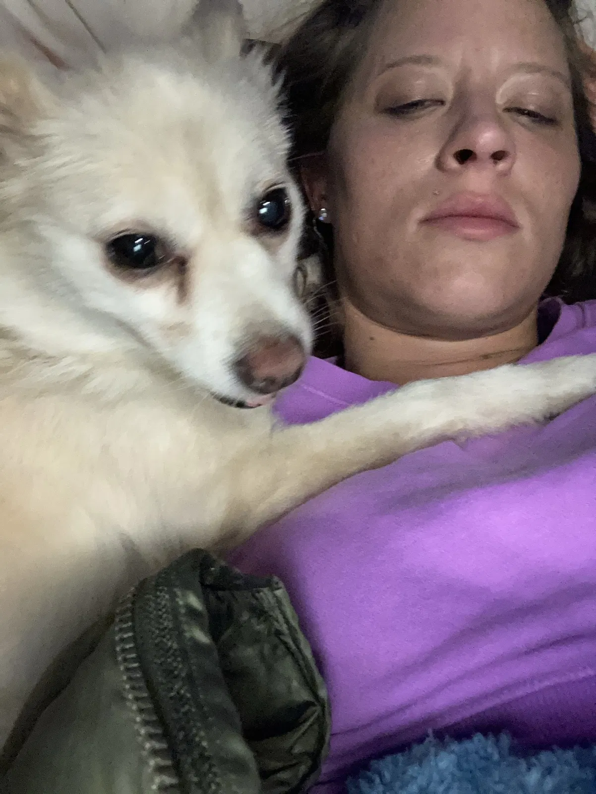 Lost dog in Port Orchard, WA, 98367
