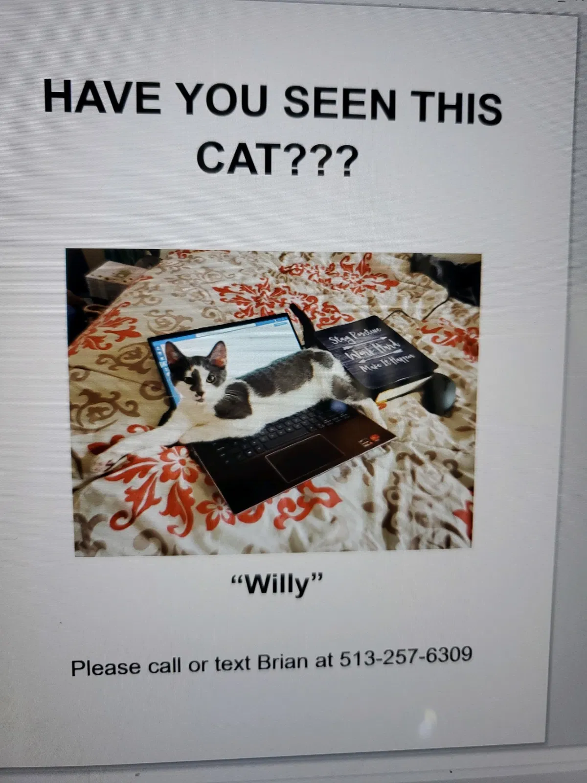 Lost cat in West College Corner, IN, 47003