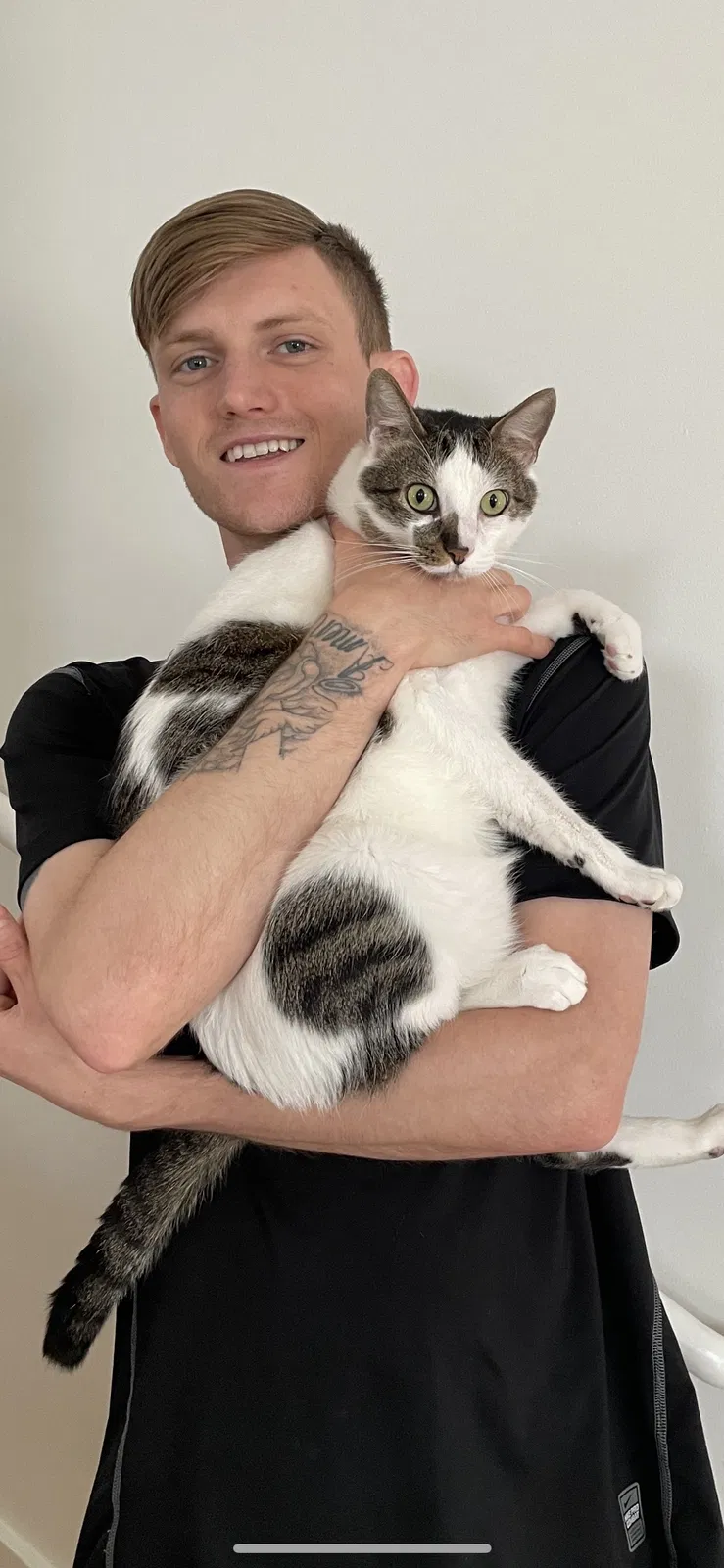 Lost cat in Dallas, TX, 75205