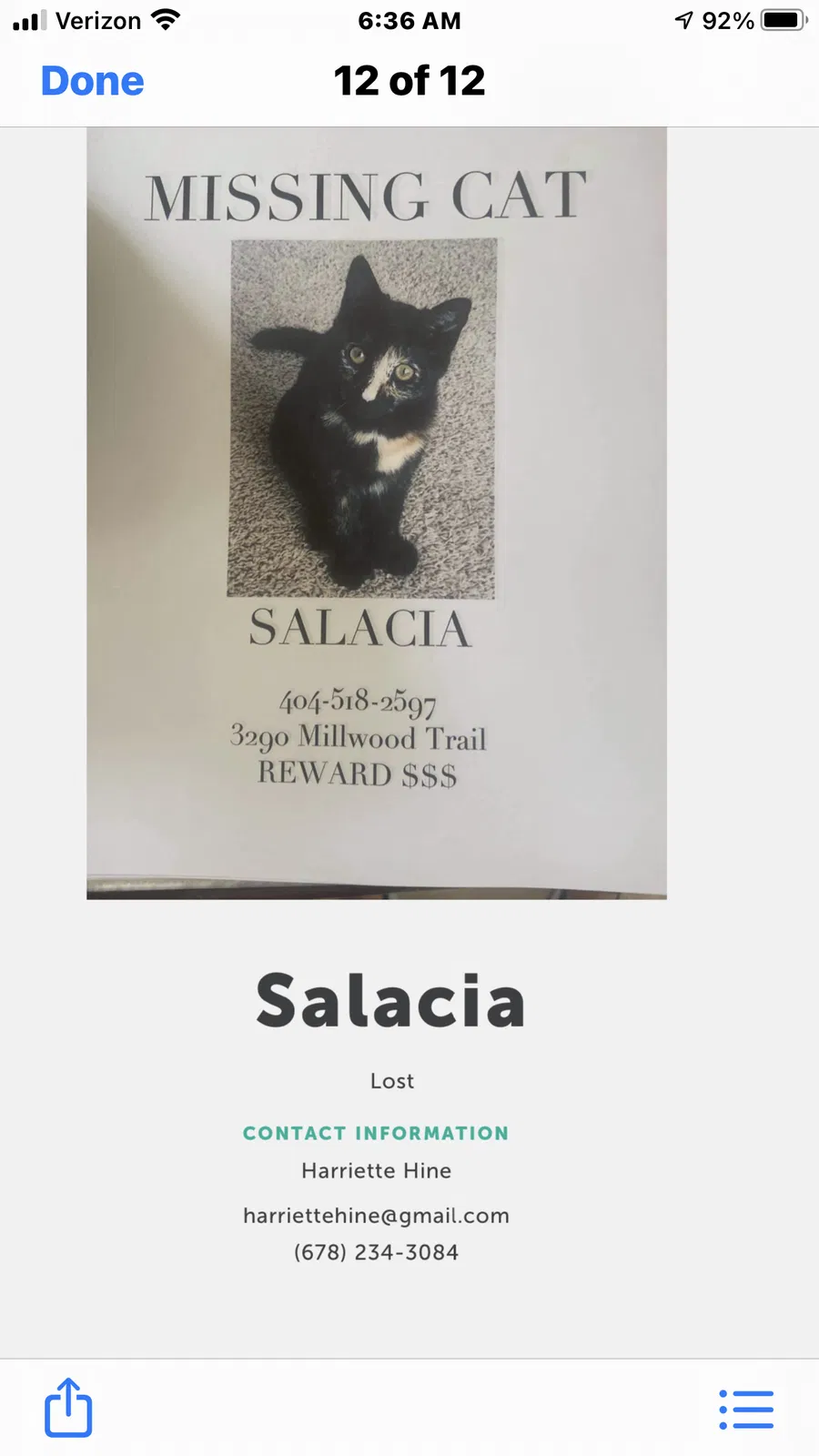 Lost cat in Smyrna, GA, 30080