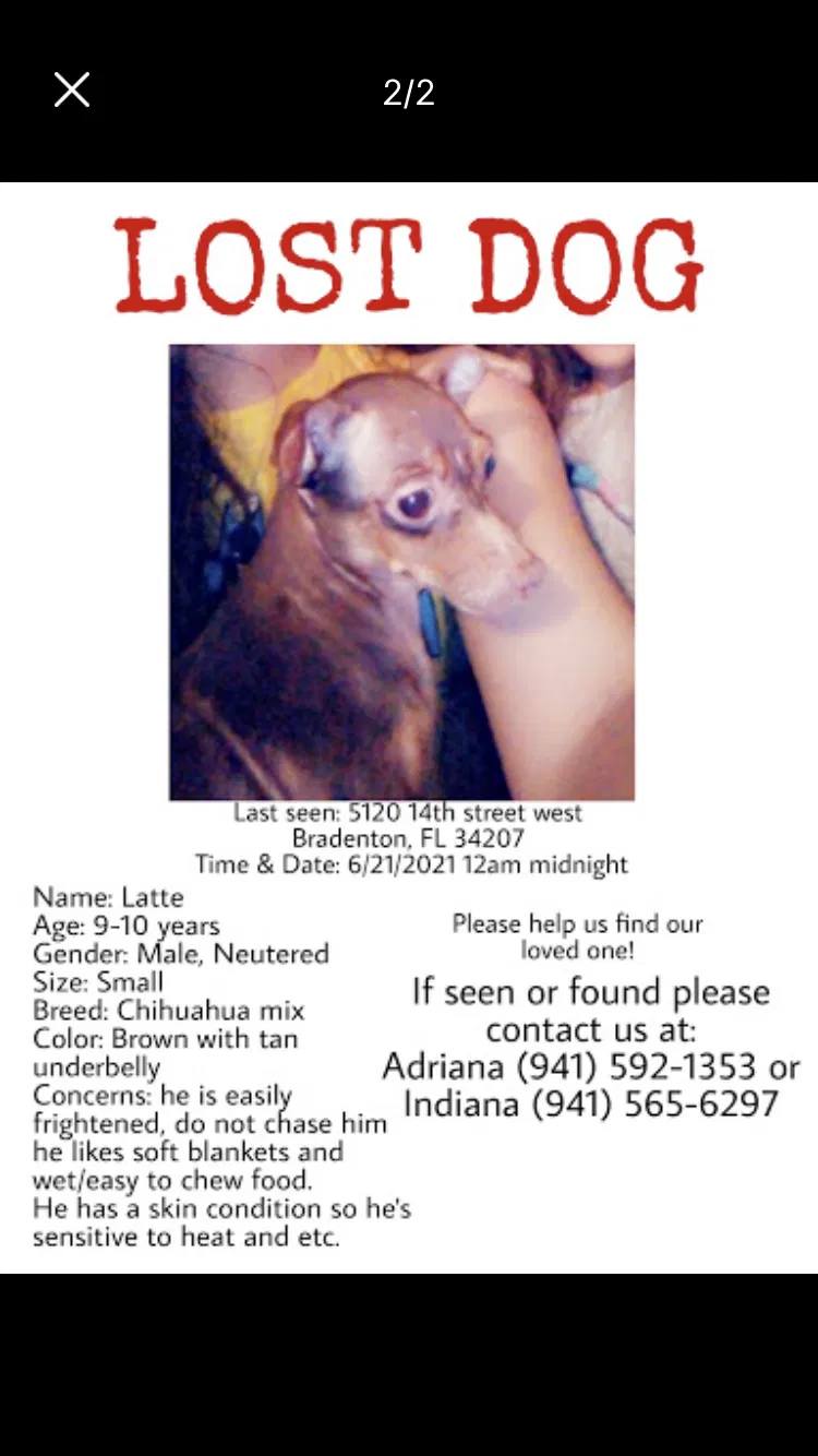 Lost dog in Bradenton, FL, 34207