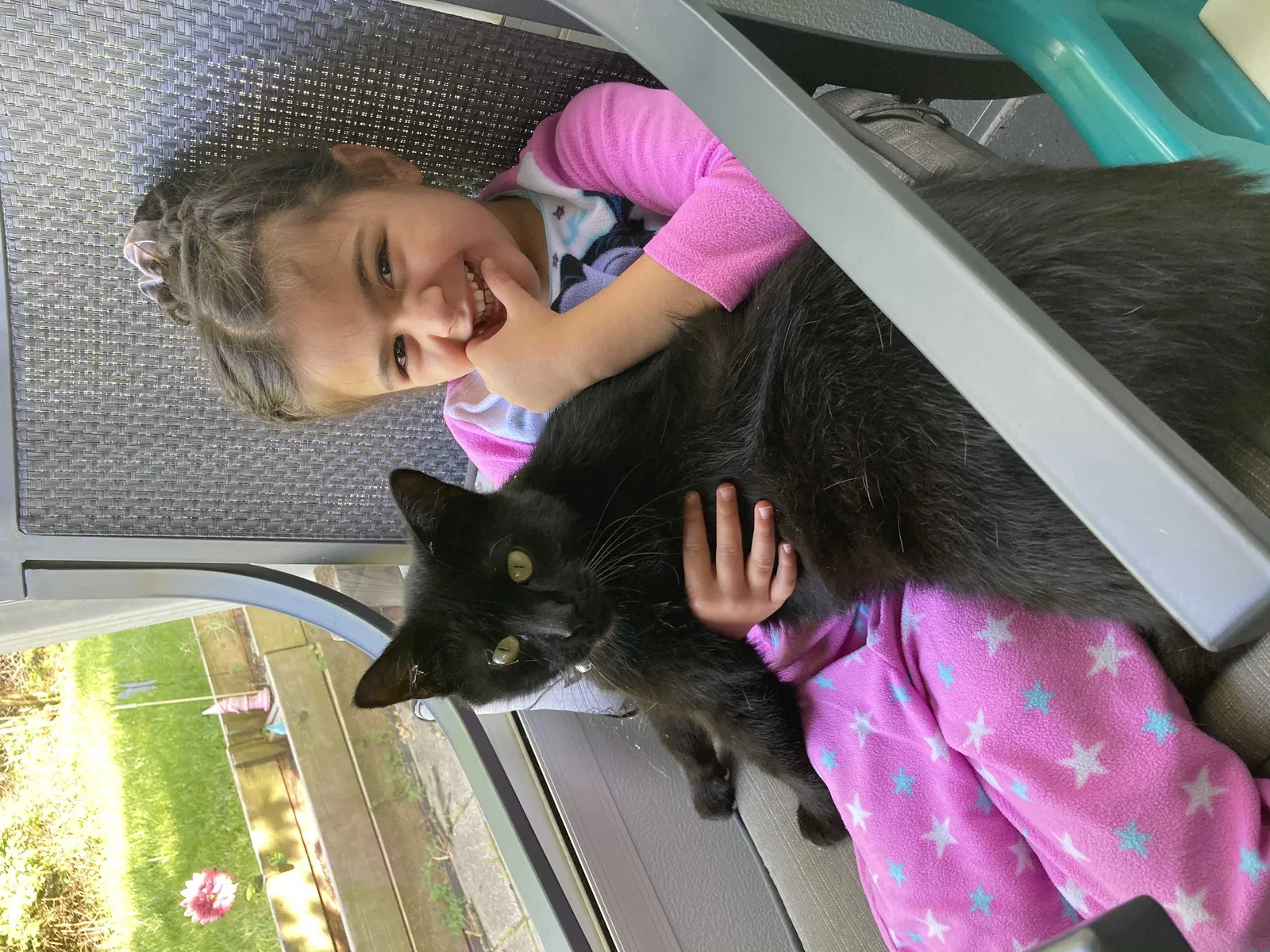 Lost cat in Cincinnati, OH, 45224