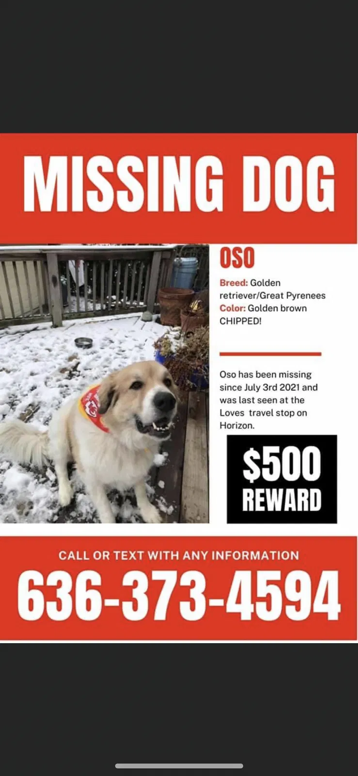 Lost dog in Vancouver, WA, 98660