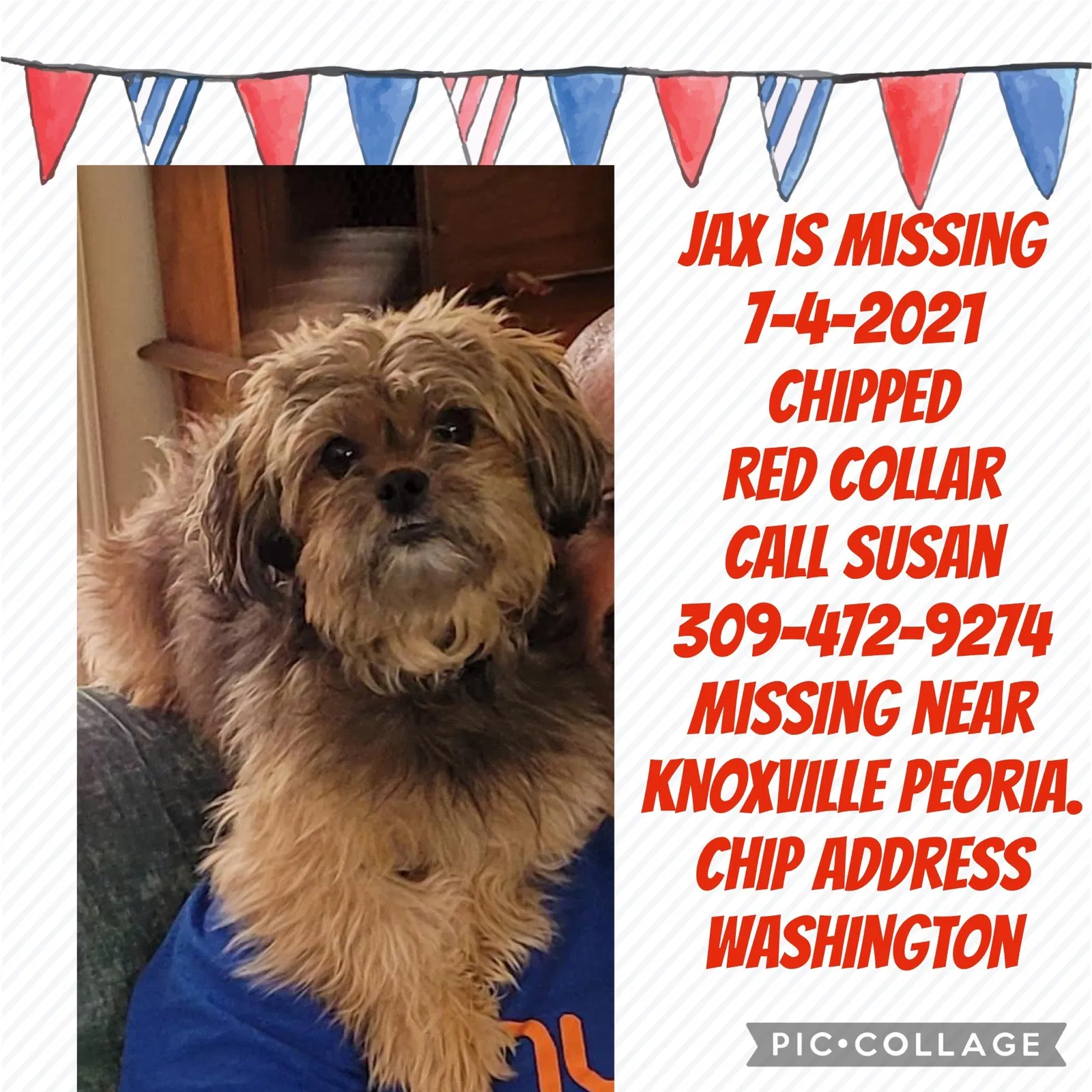 Lost dog in Peoria, IL, 61614
