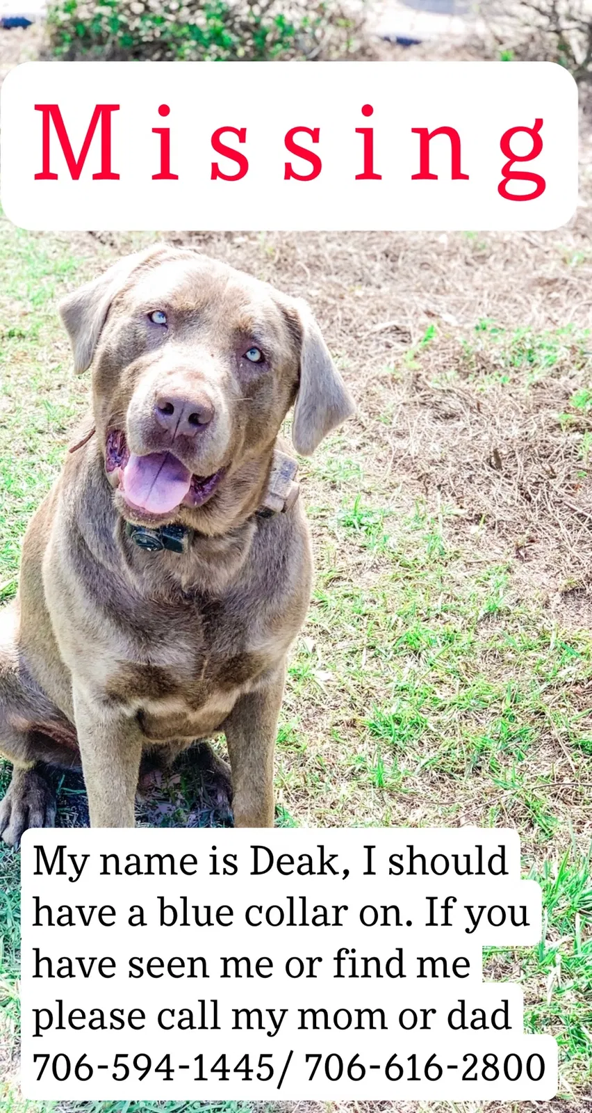 Lost dog in Lagrange, GA, 30241