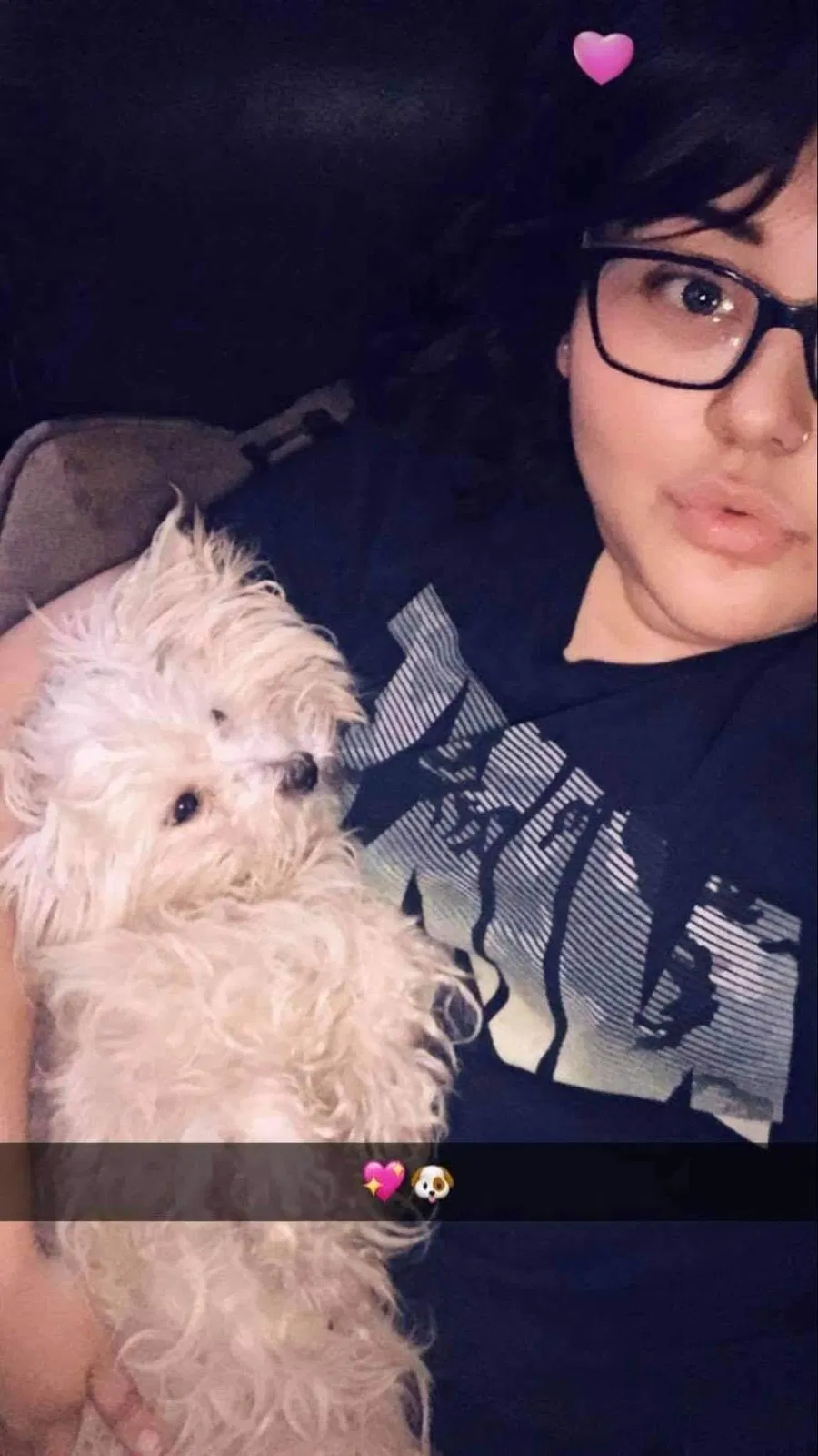 Lost dog in Grand Prairie, TX, 75051