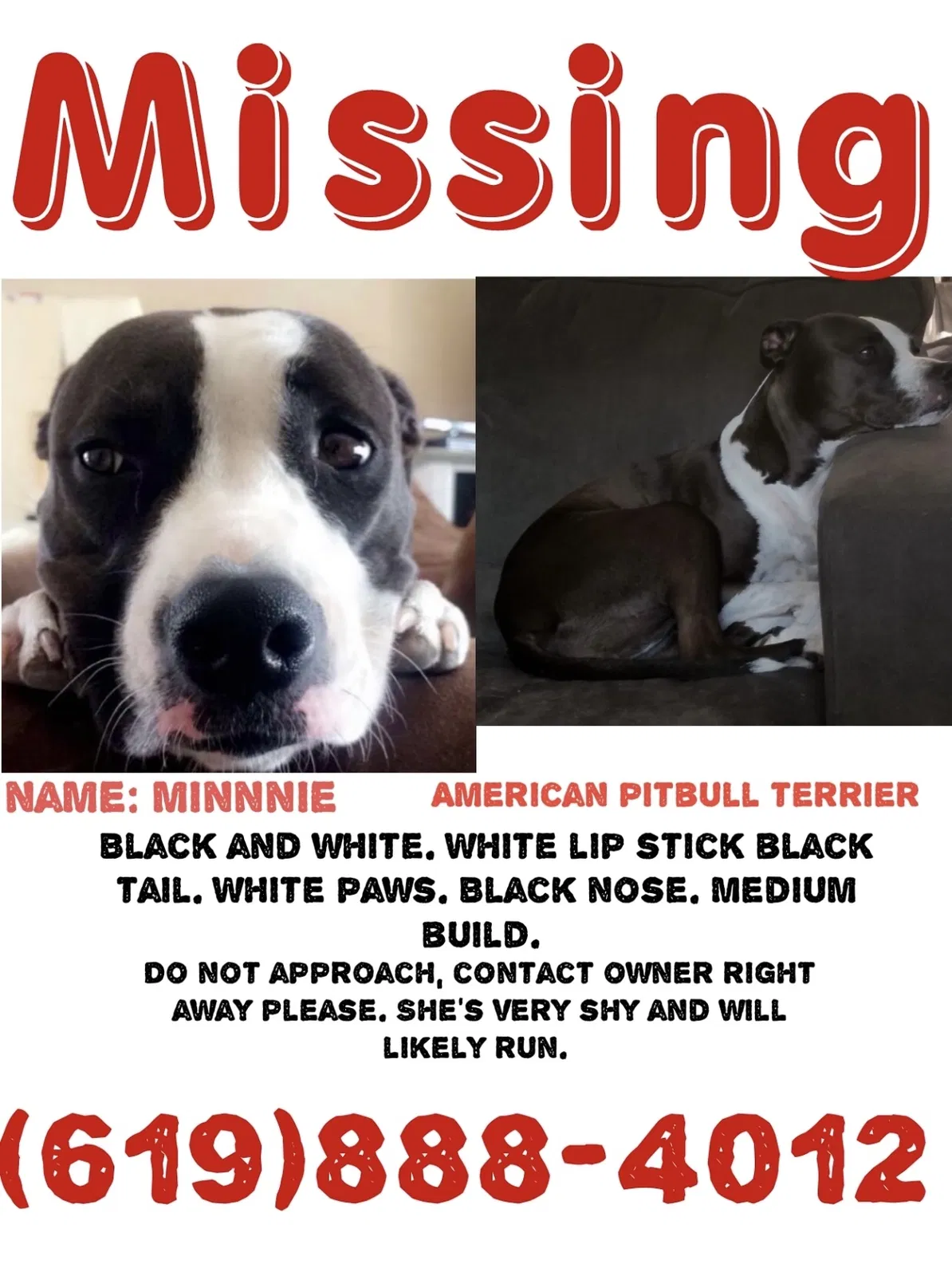 Lost dog in Chula Vista, CA, 91911