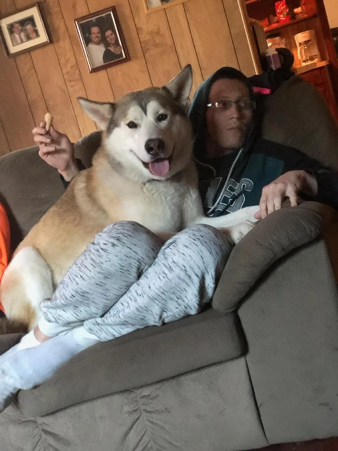 Lost dog in Temple, TX, 76502