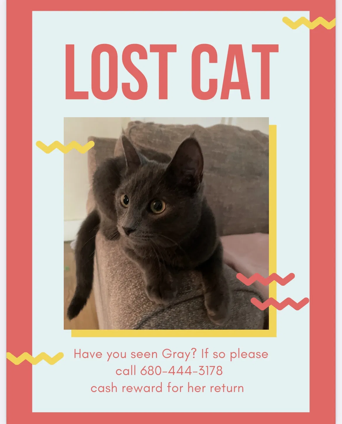 Lost cat in Geneva, NY, 14456