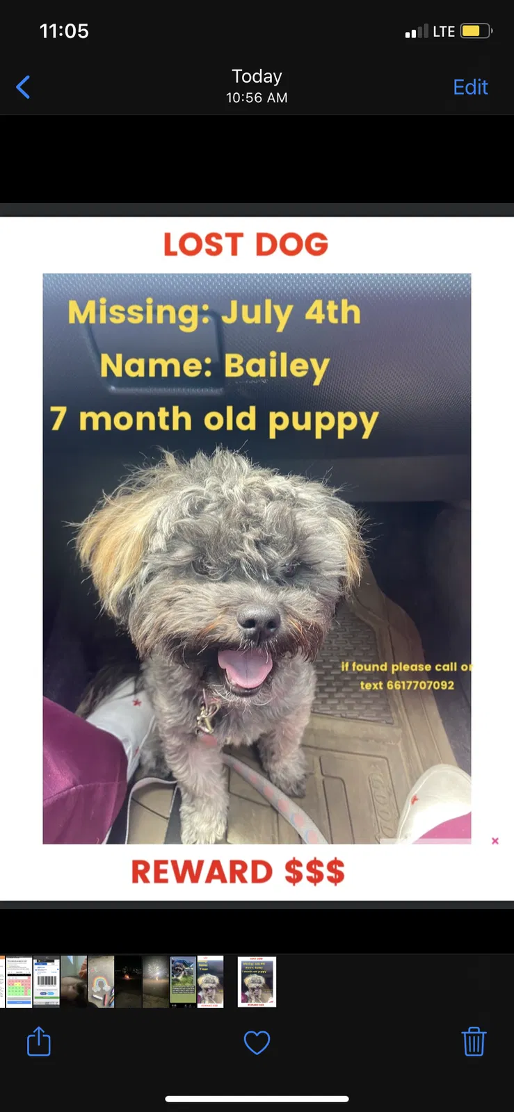 Lost dog in Unknown, CA, 93350