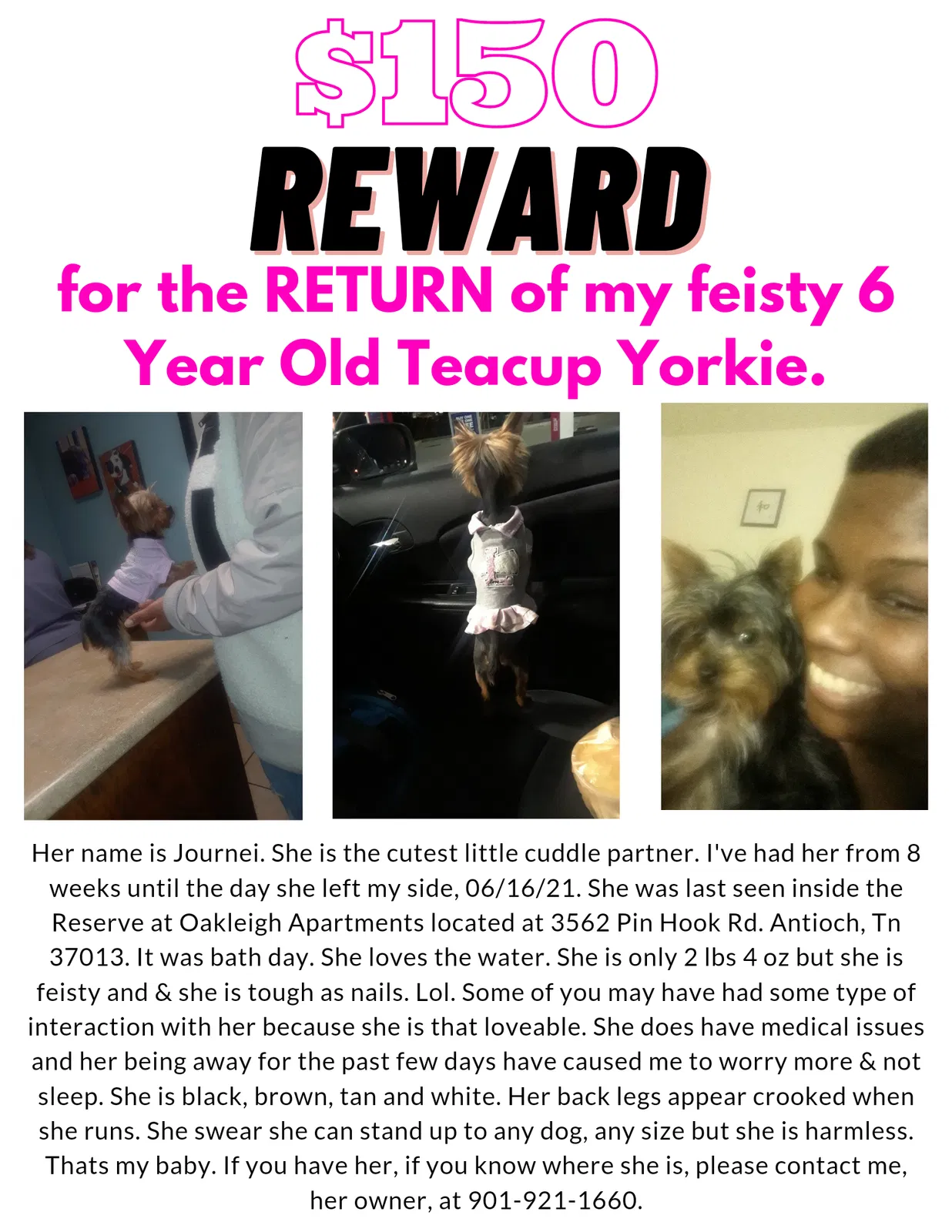 Lost dog in Antioch, TN, 37013
