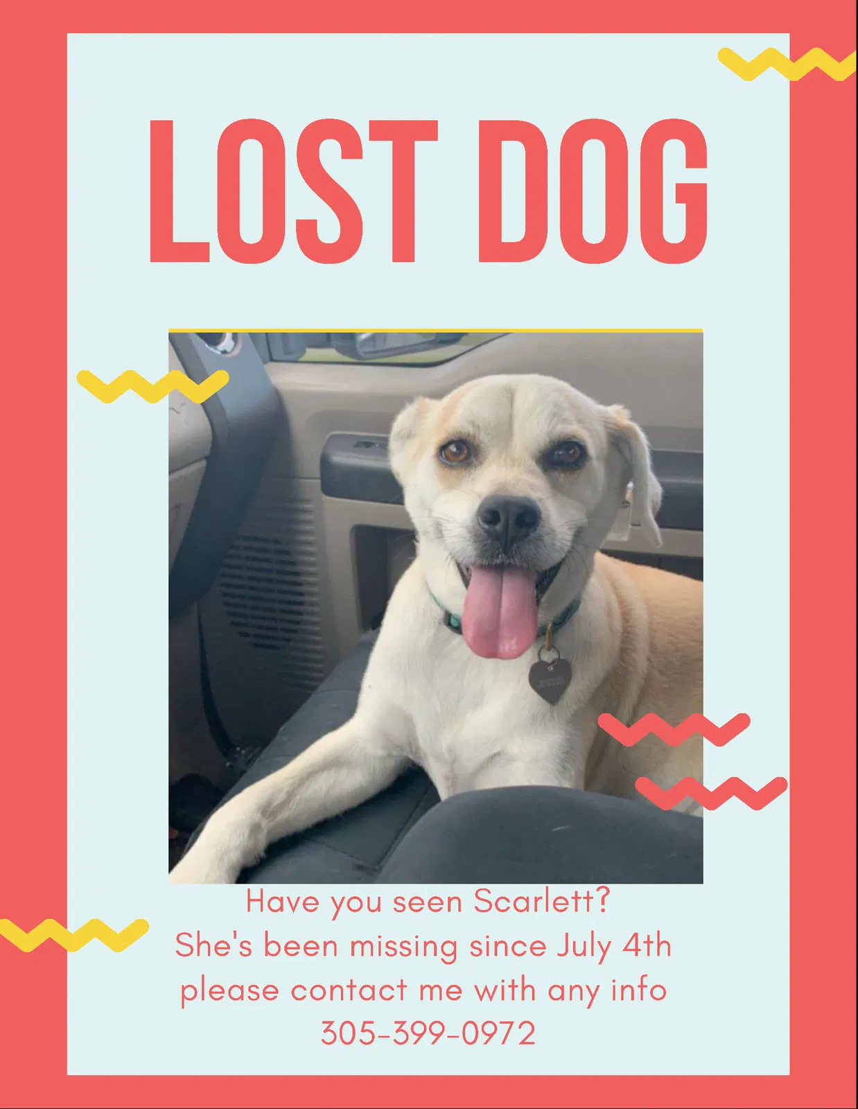 Lost dog in Miami, FL, 33155