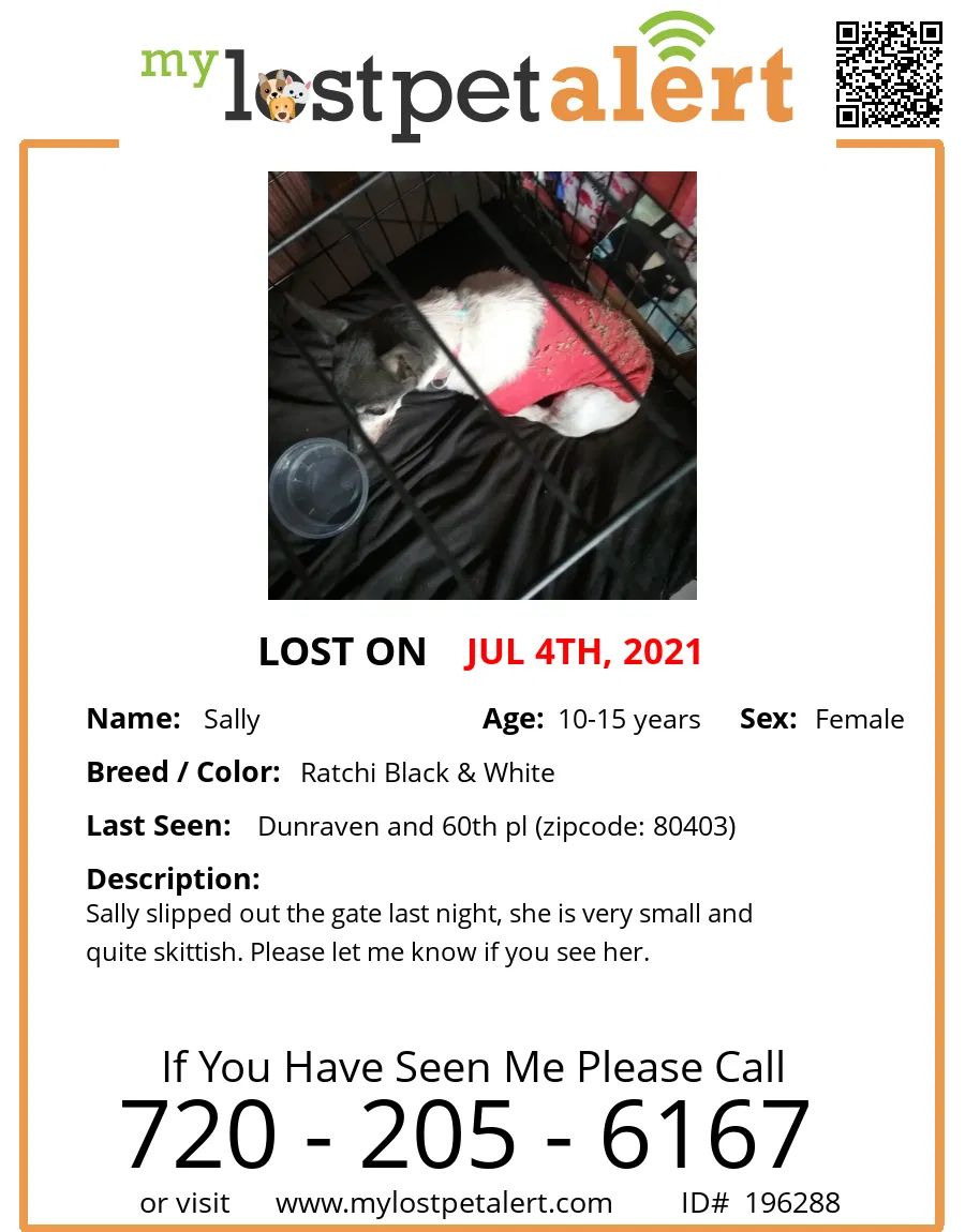 Lost dog in Golden, CO, 80403