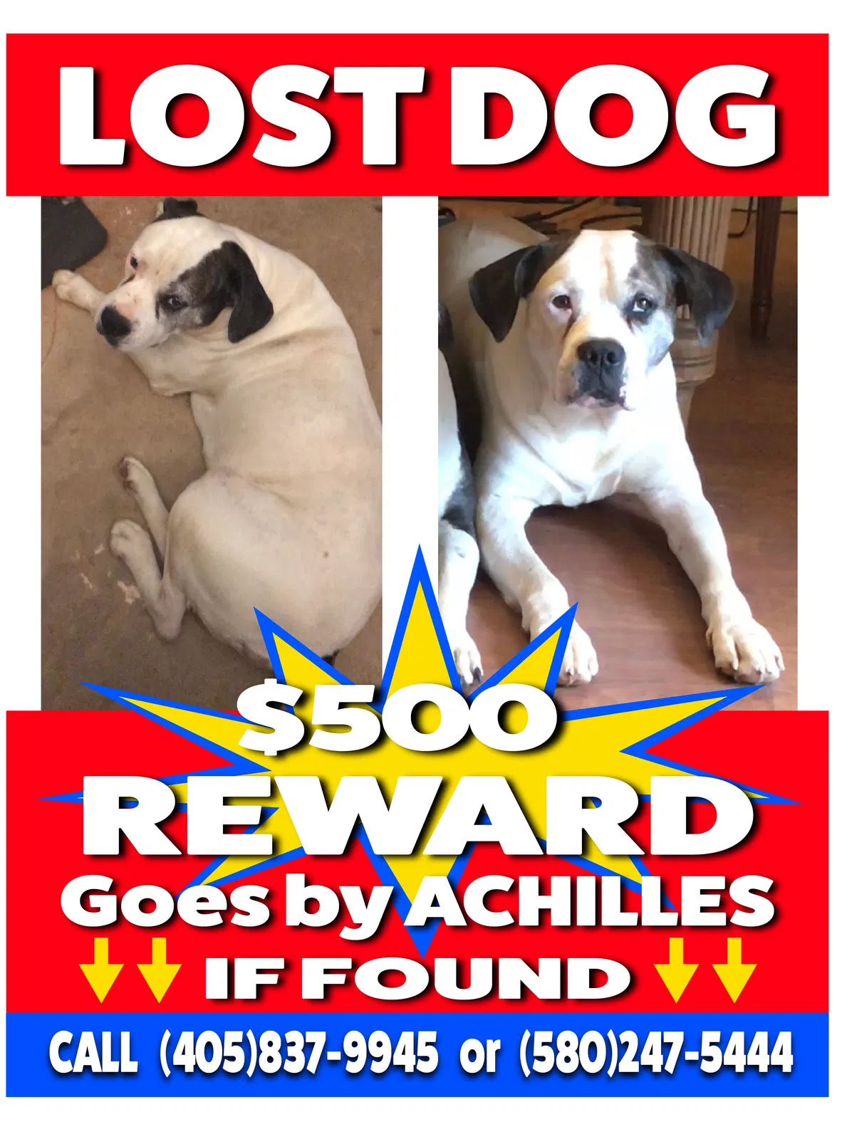 Lost dog in Lexington, OK, 73051
