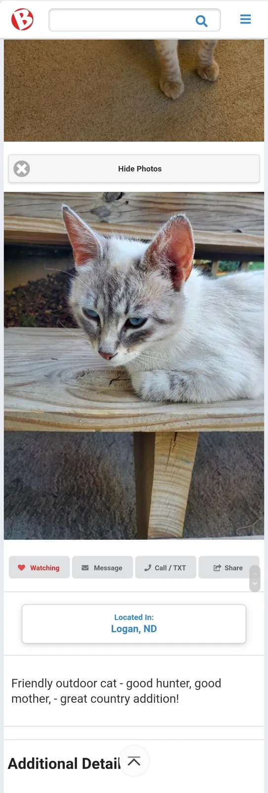 Lost cat in Rugby, ND, 58368