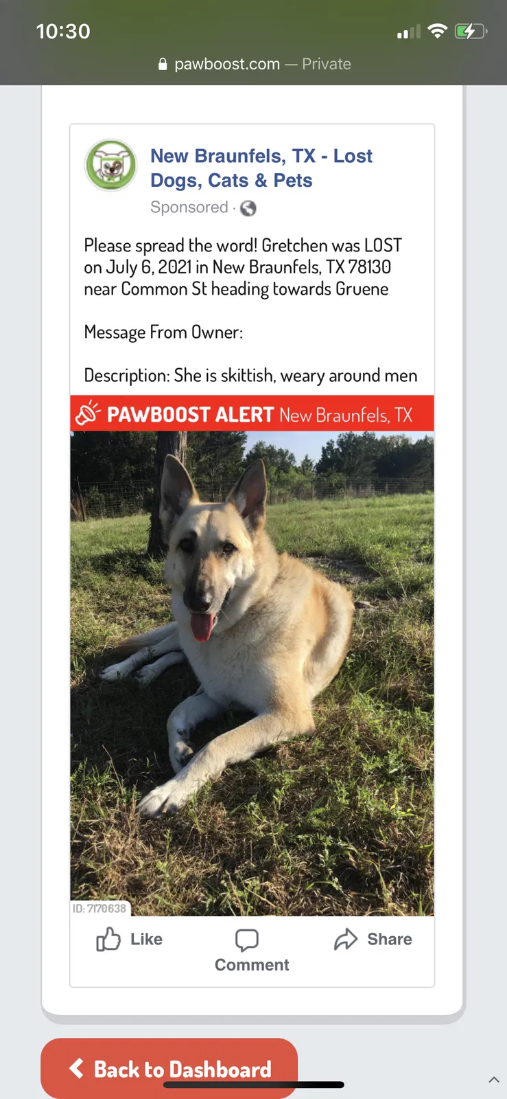 Lost dog in New Braunfels, TX, 78130