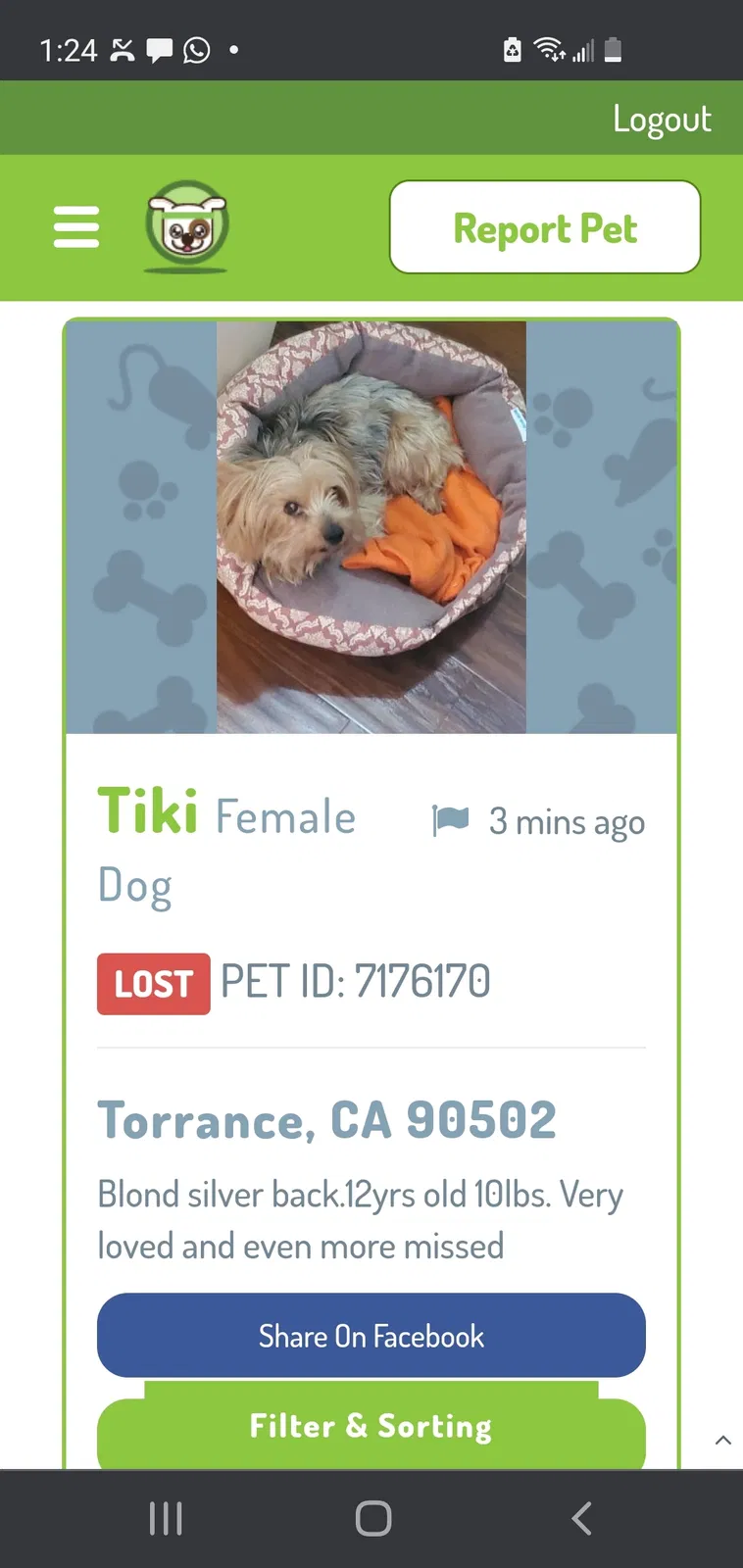 Lost dog in Torrance, CA, 90502