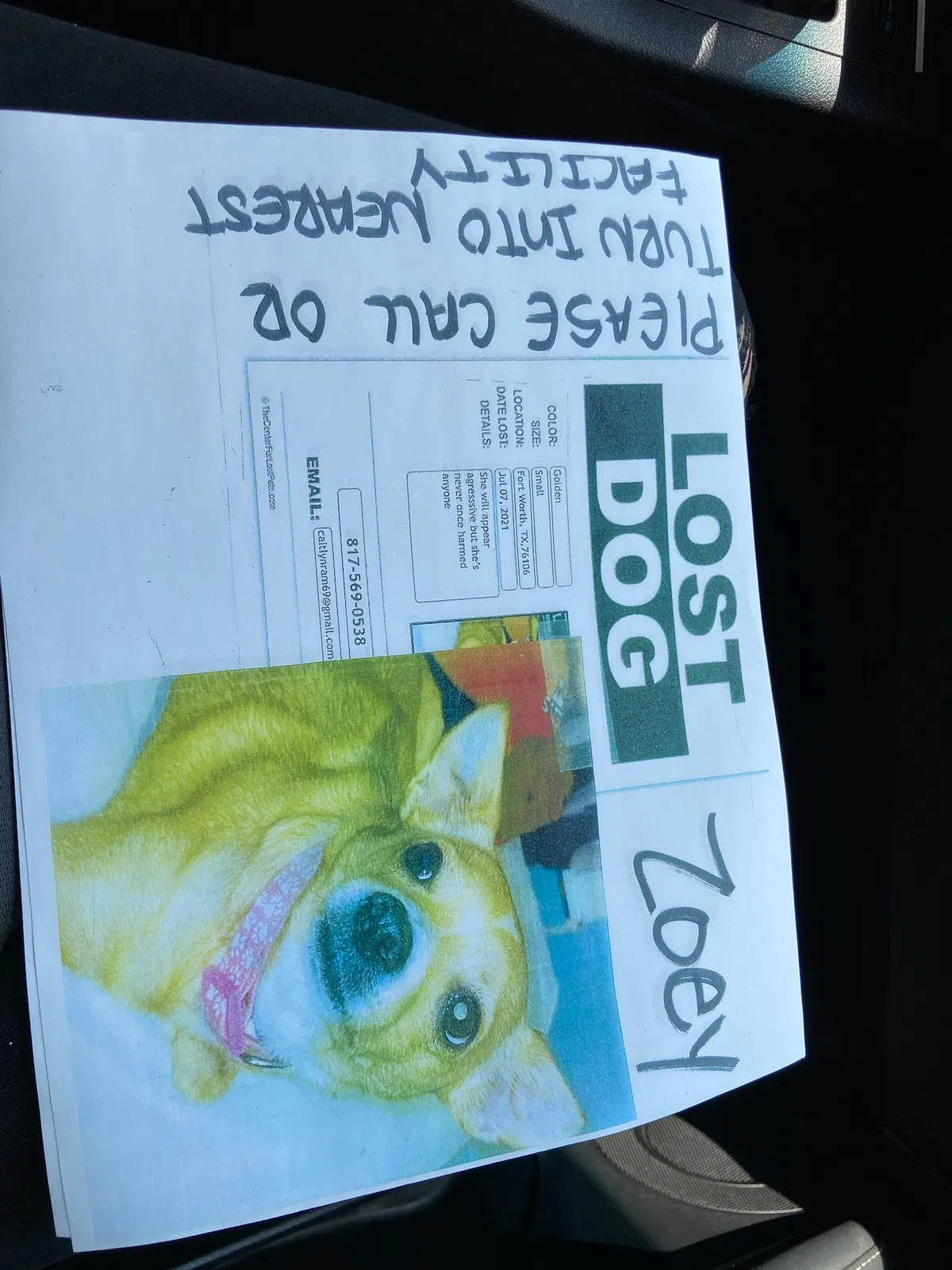 Lost dog in Fort Worth, TX, 76106