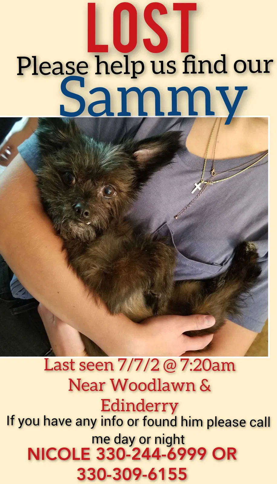 Lost dog in Canton, OH, 44708