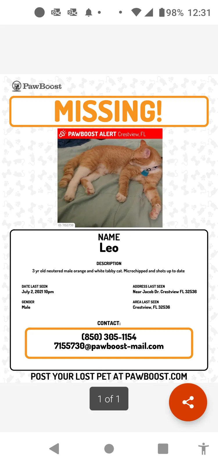Lost cat in Crestview, FL, 32536