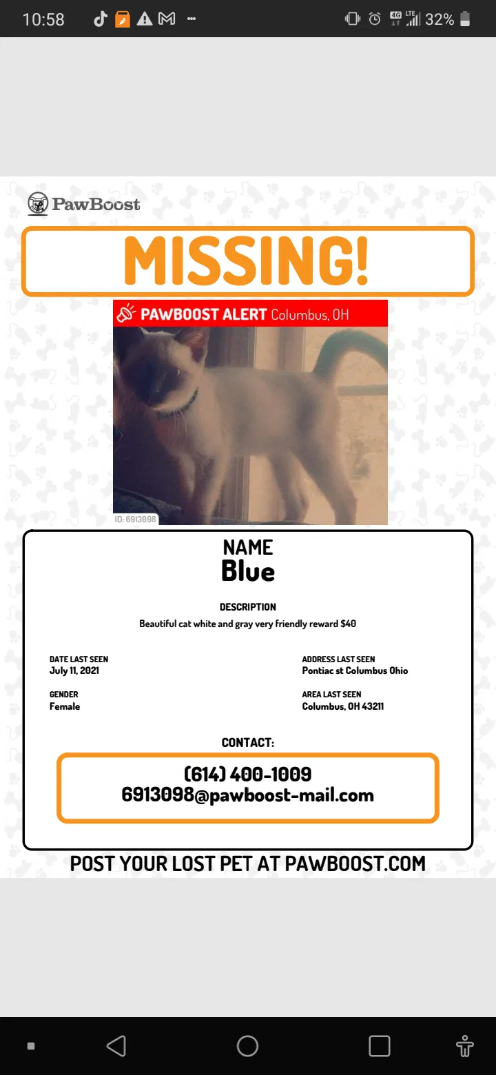 Lost cat in Columbus, OH, 43211