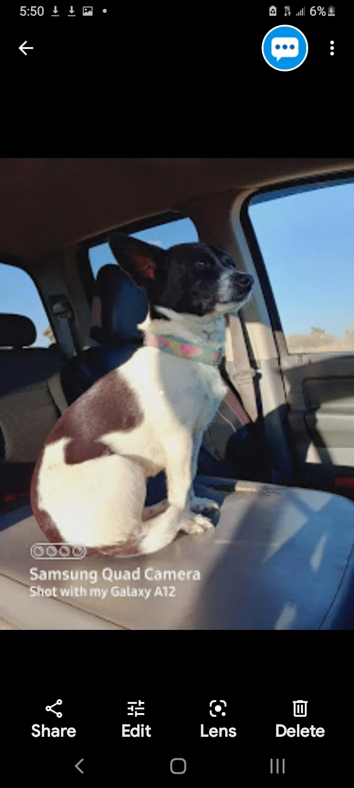 Lost dog in Palmdale, CA, 93551