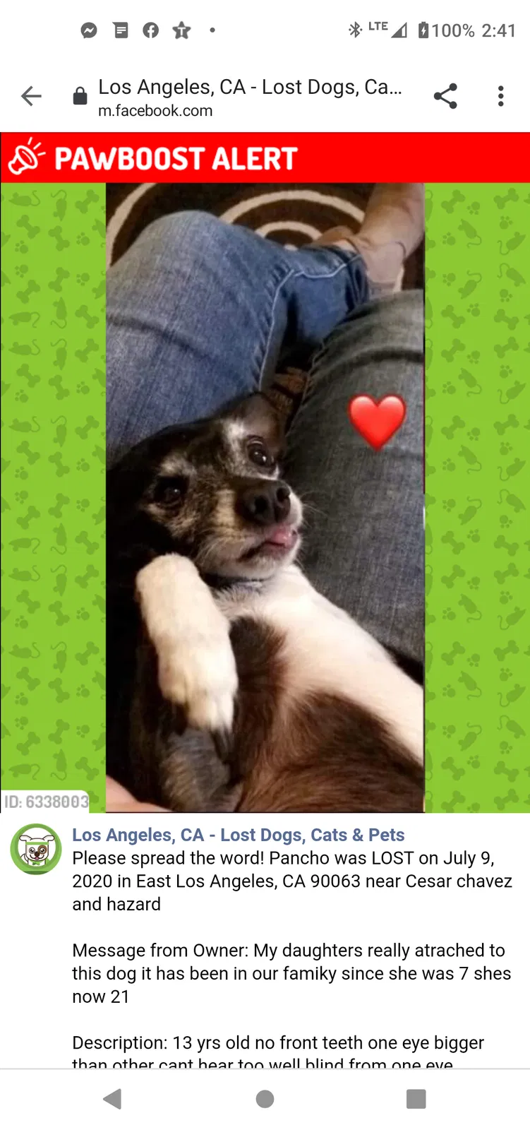 Lost dog in Los Angeles, CA, 90063