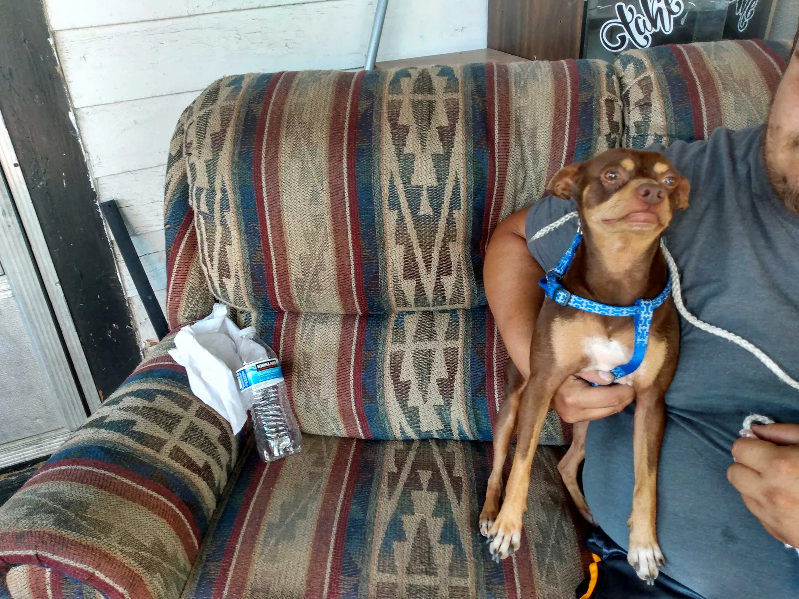 Found dog in Blackfoot, ID, 83221
