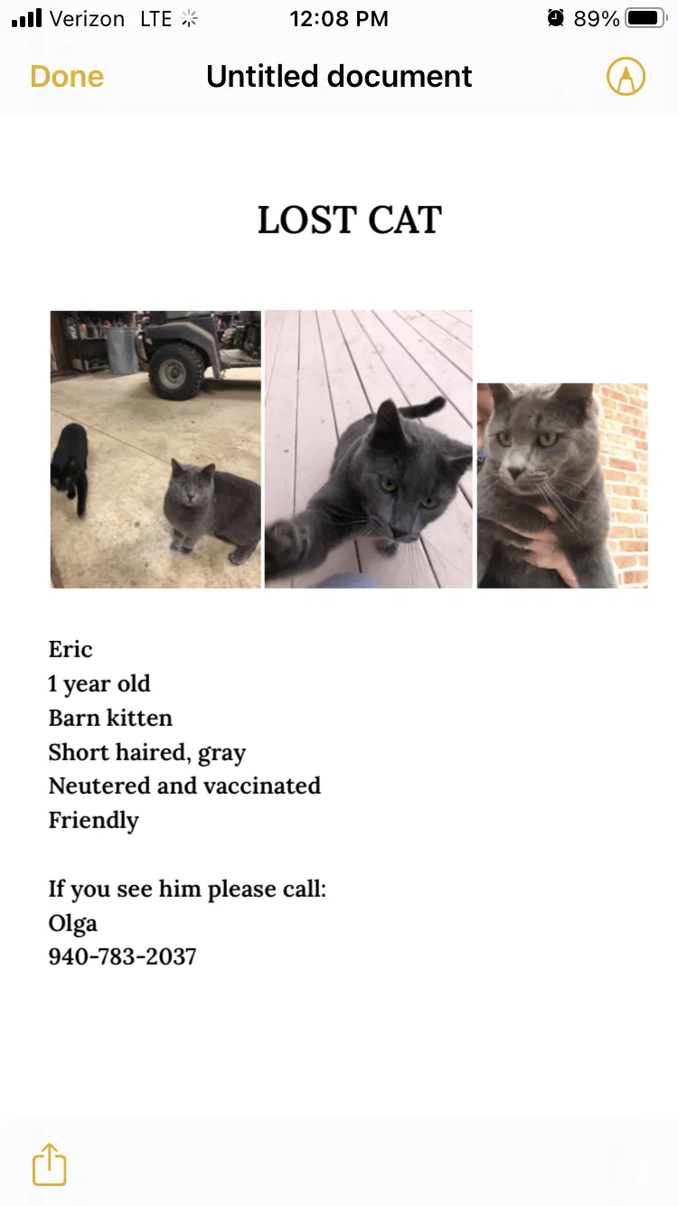 Lost cat in Springboro, OH, 45066