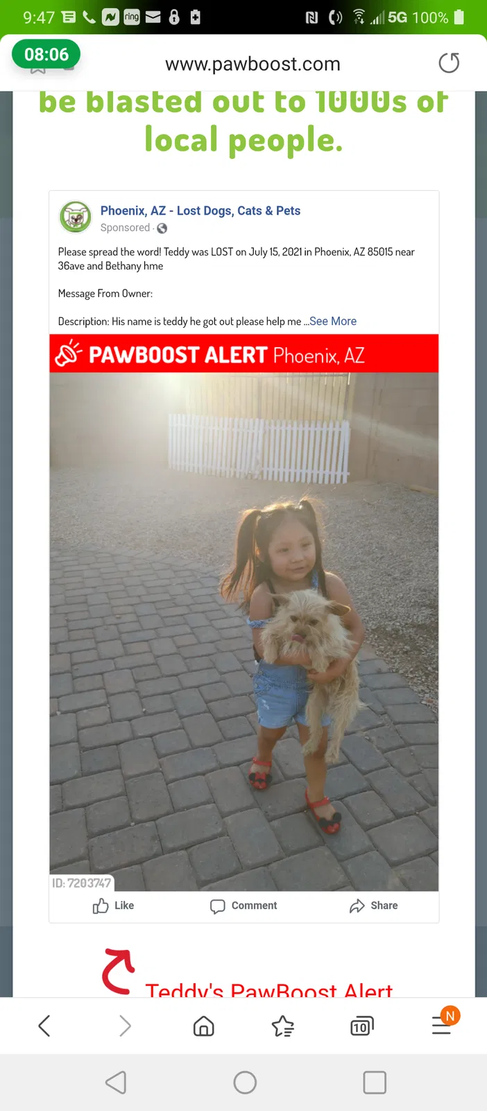 Lost dog in Phoenix, AZ, 85019