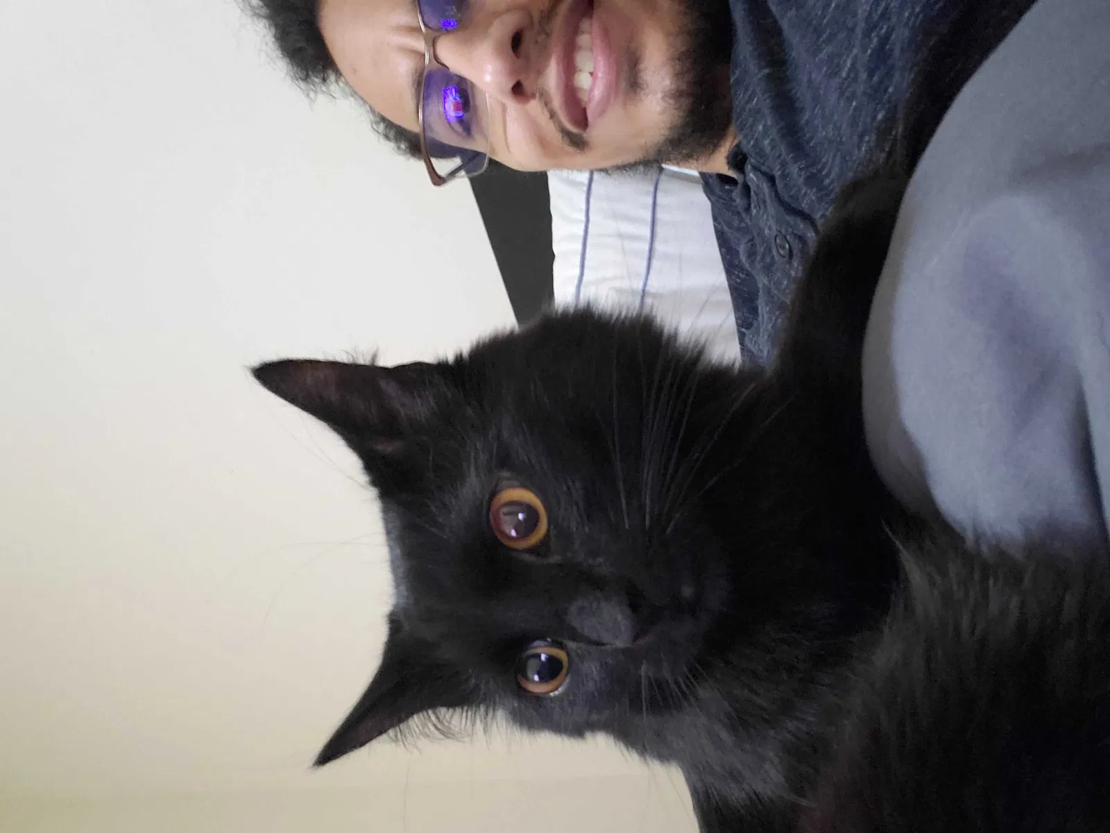 Lost cat in Eugene, OR, 97402