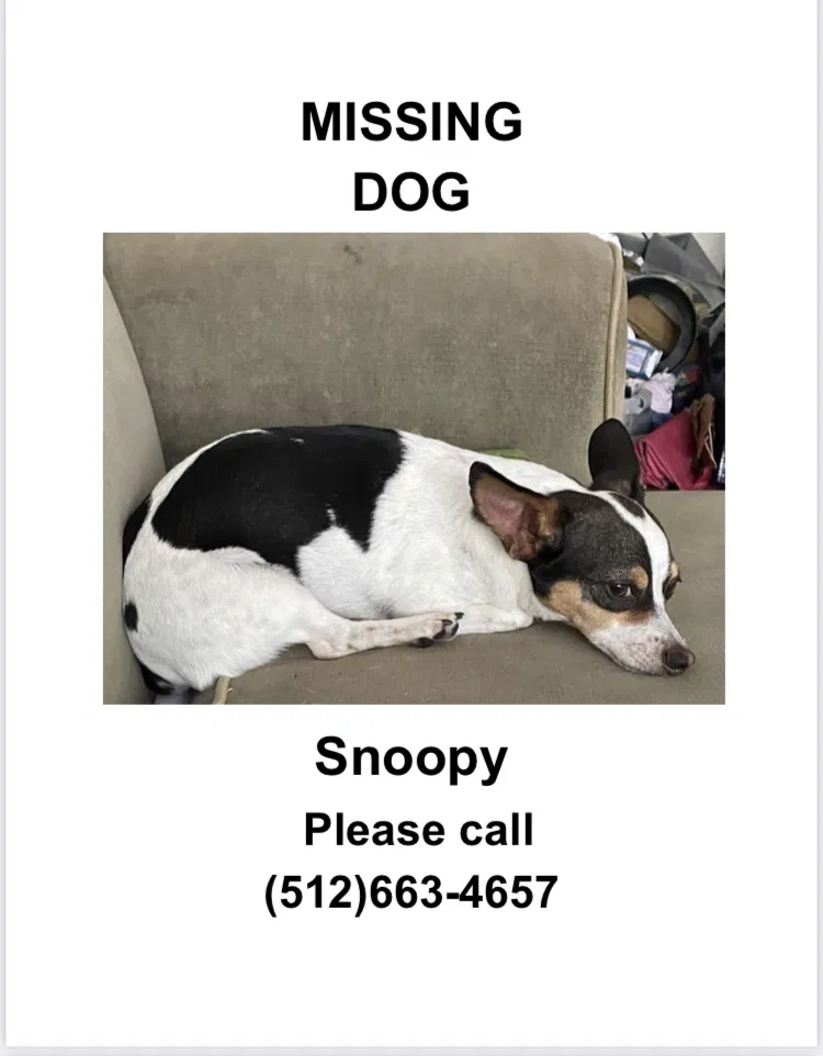 Lost dog in Del Valle, TX, 78617