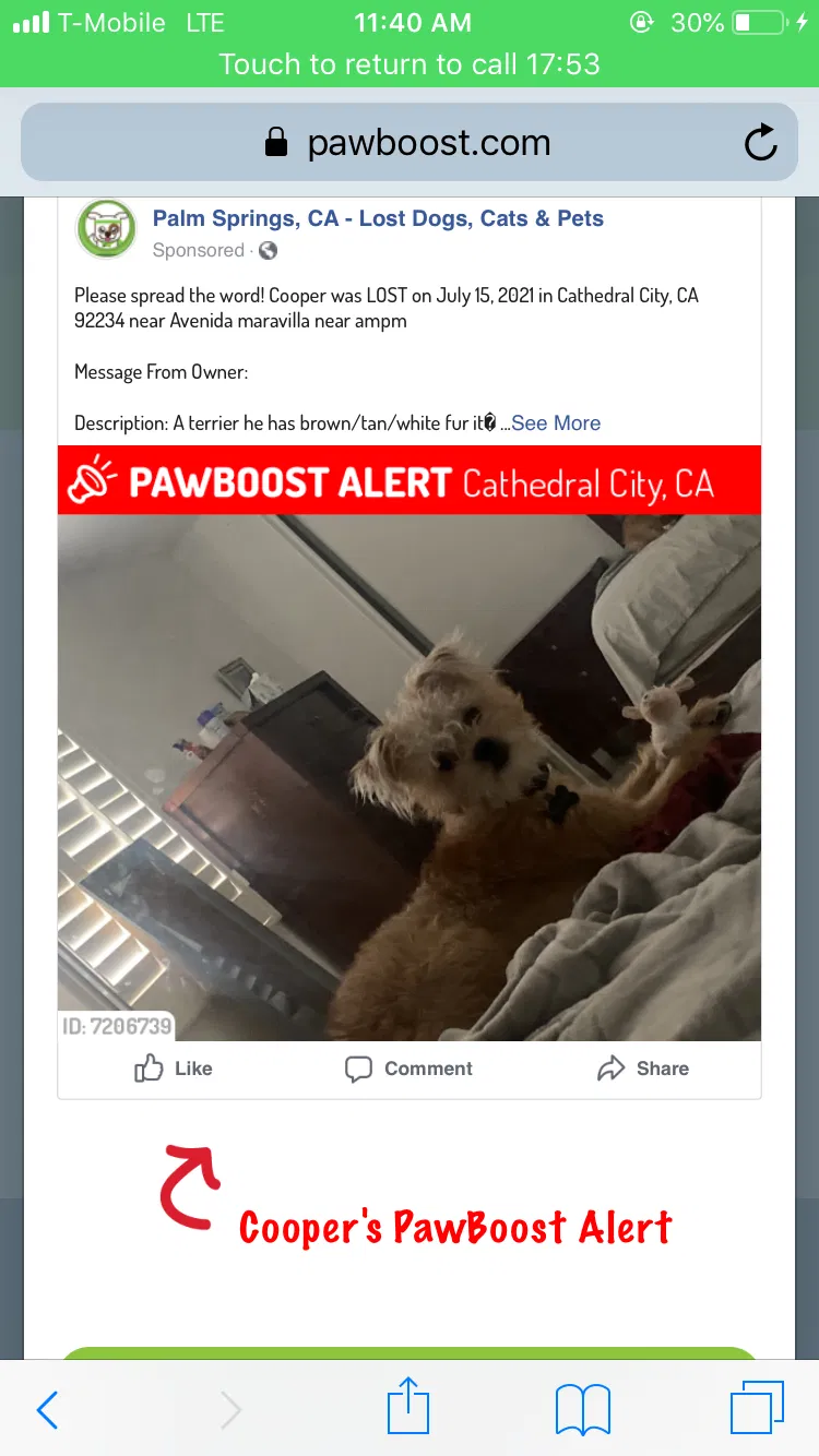 Lost dog in Cathedral City, CA, 92234
