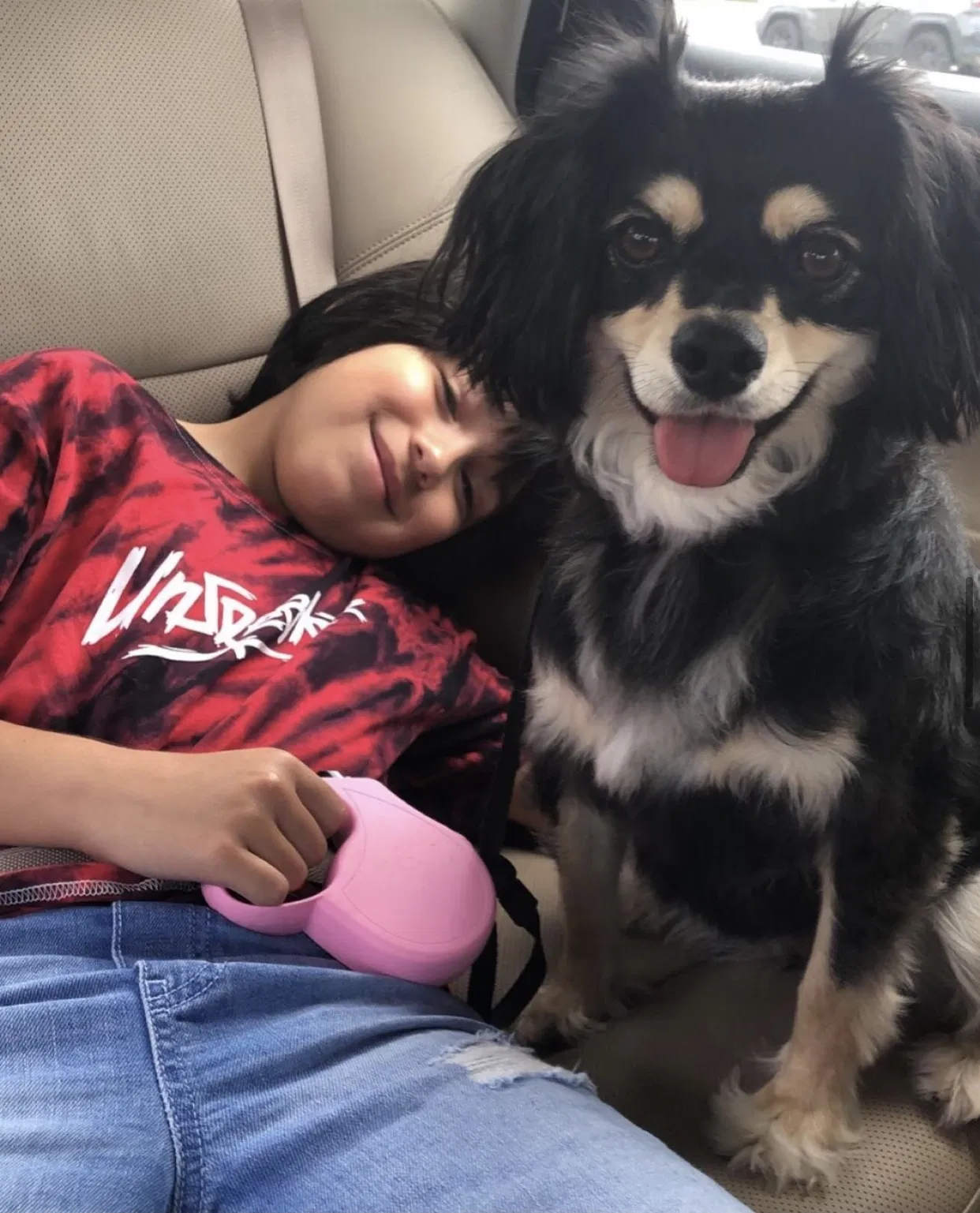 Lost dog in Round Rock, TX, 78665
