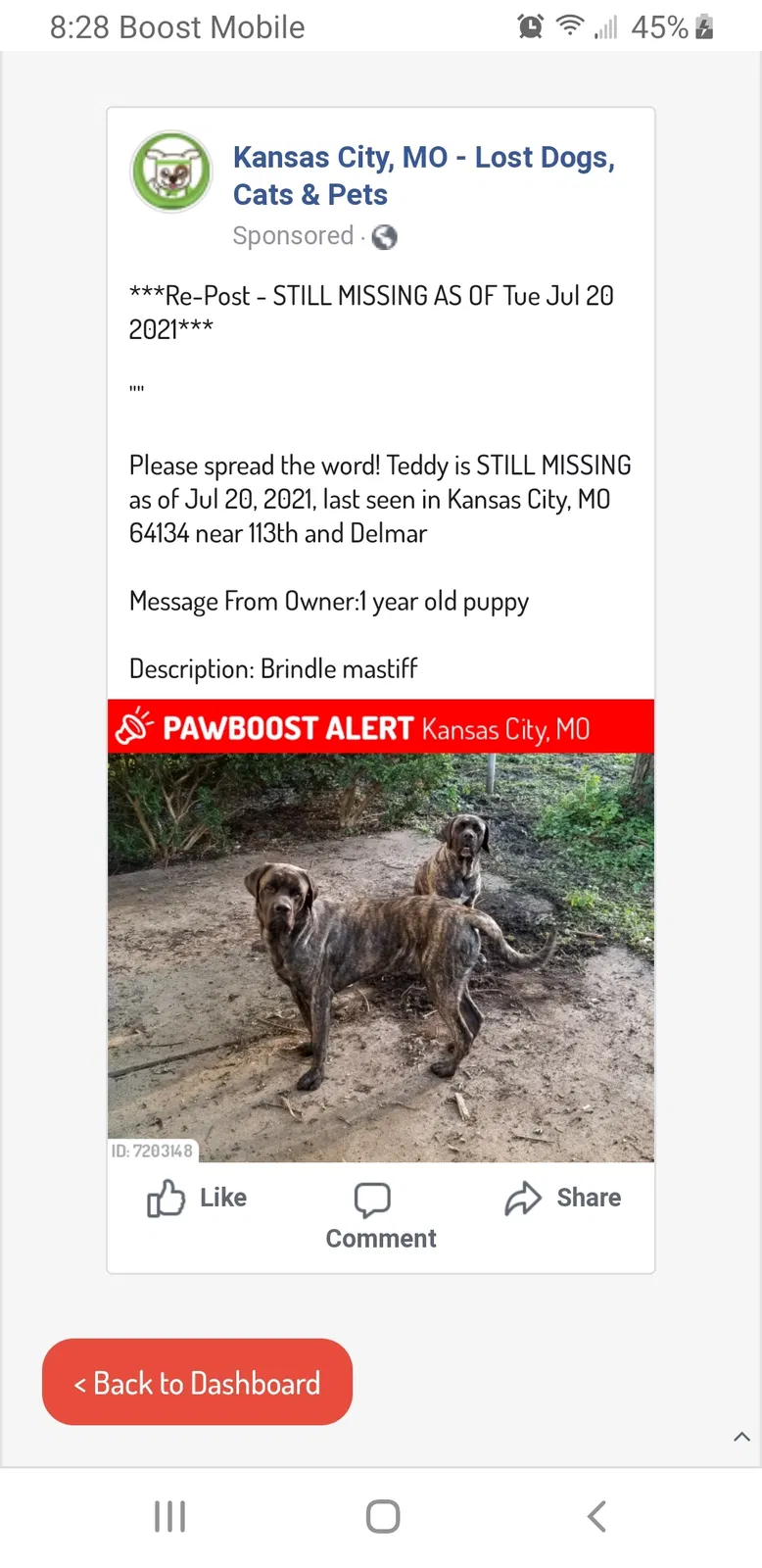 Lost dog in Kansas City, MO, 64134