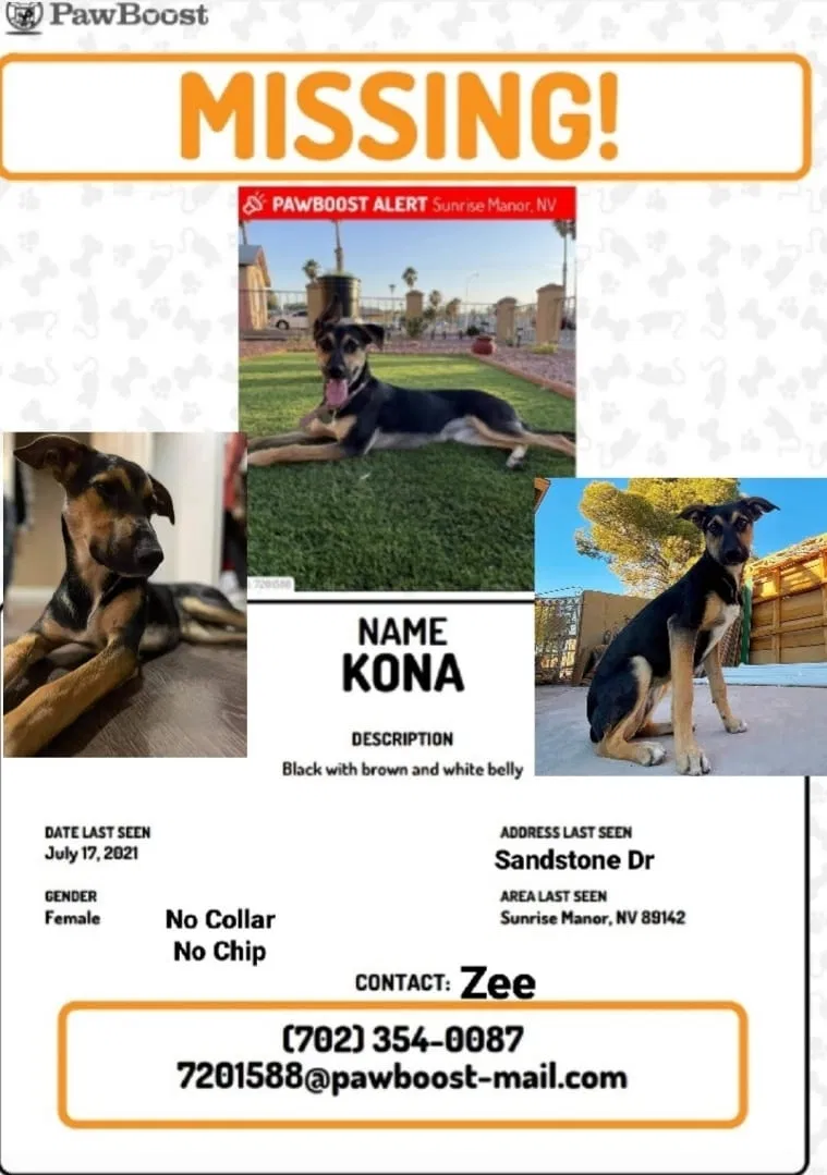 Lost dog in Las Vegas, NV, 89142