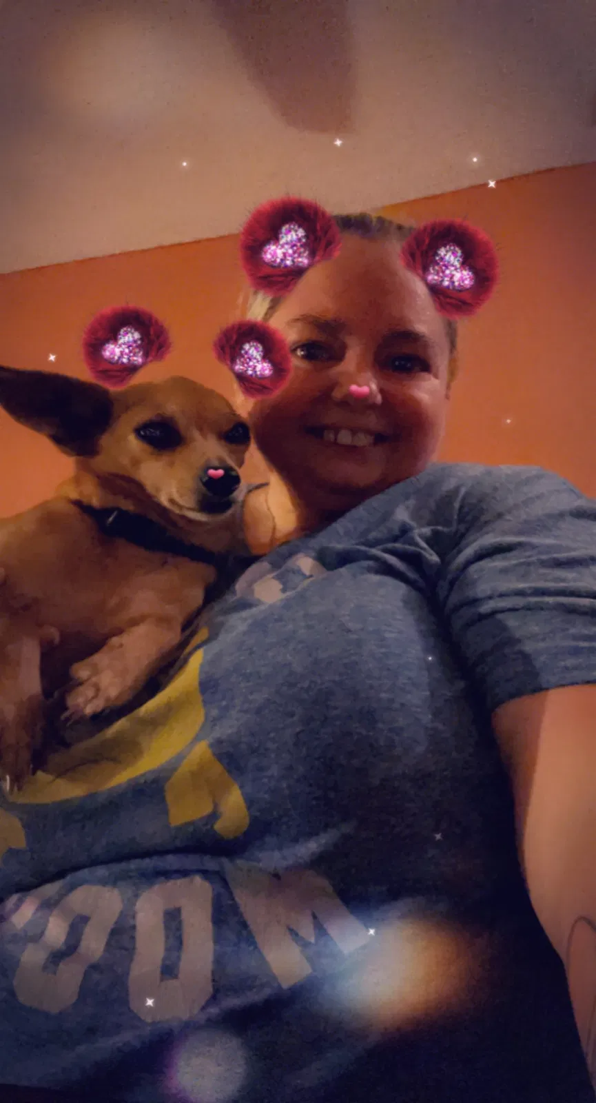 Lost dog in Jacksonville, FL, 32218