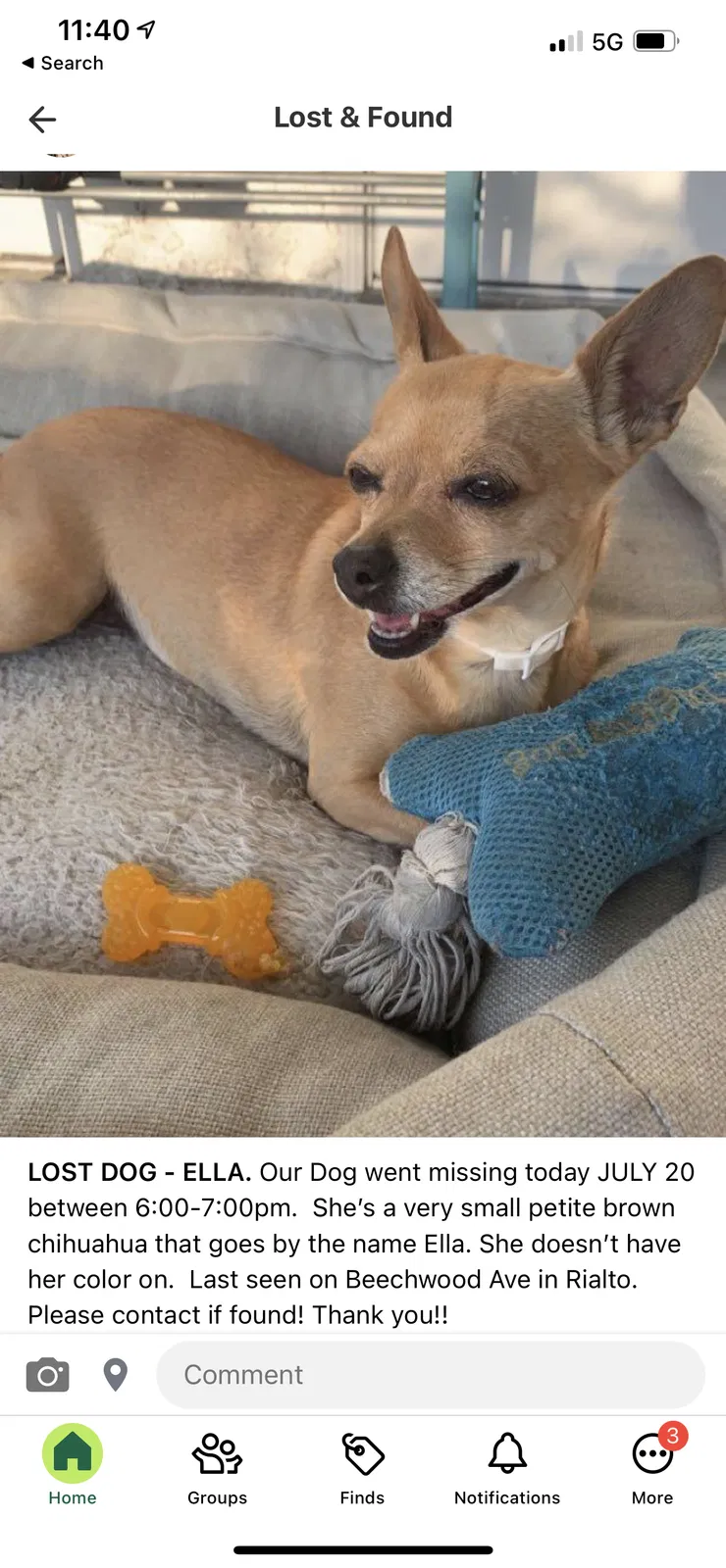 Lost dog in Rialto, CA, 92377