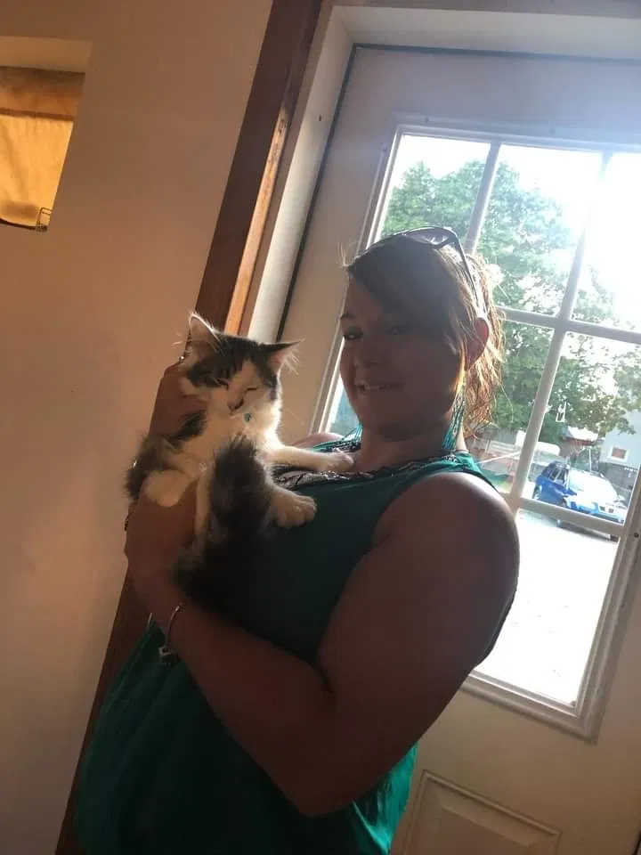 Lost cat in Milford, ME, 4461