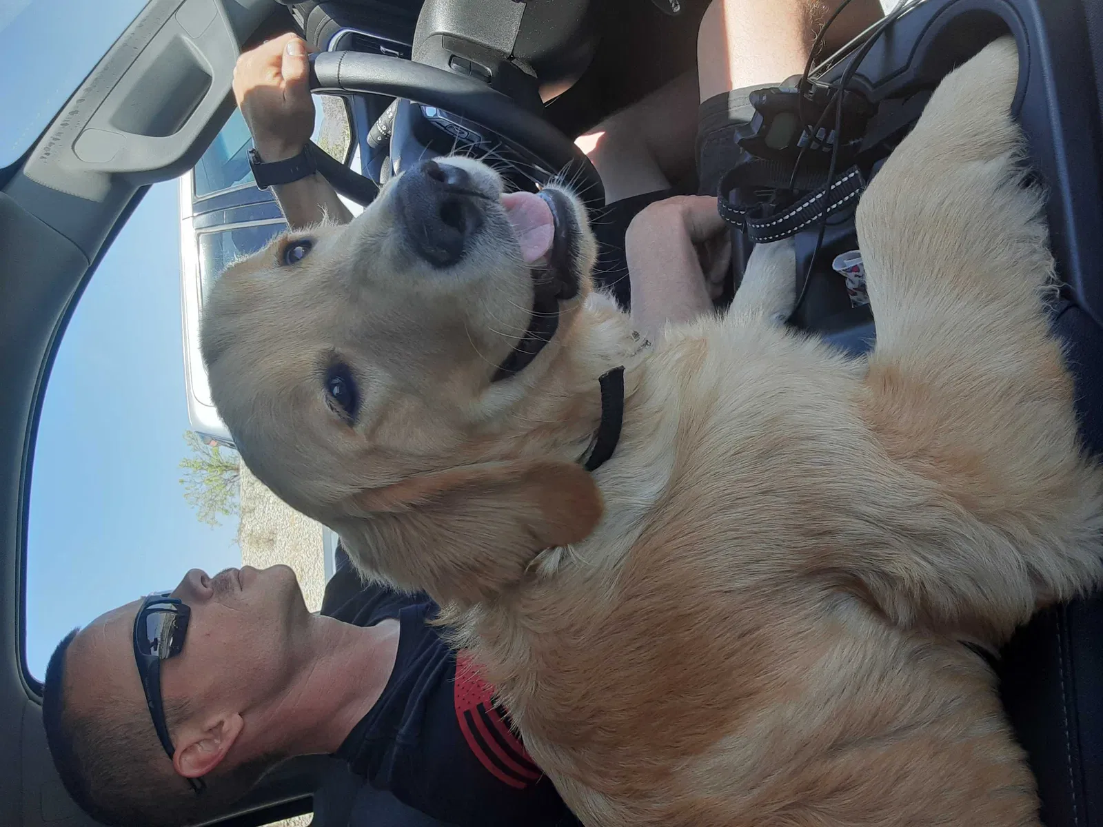 Lost dog in El Paso, TX, 79908