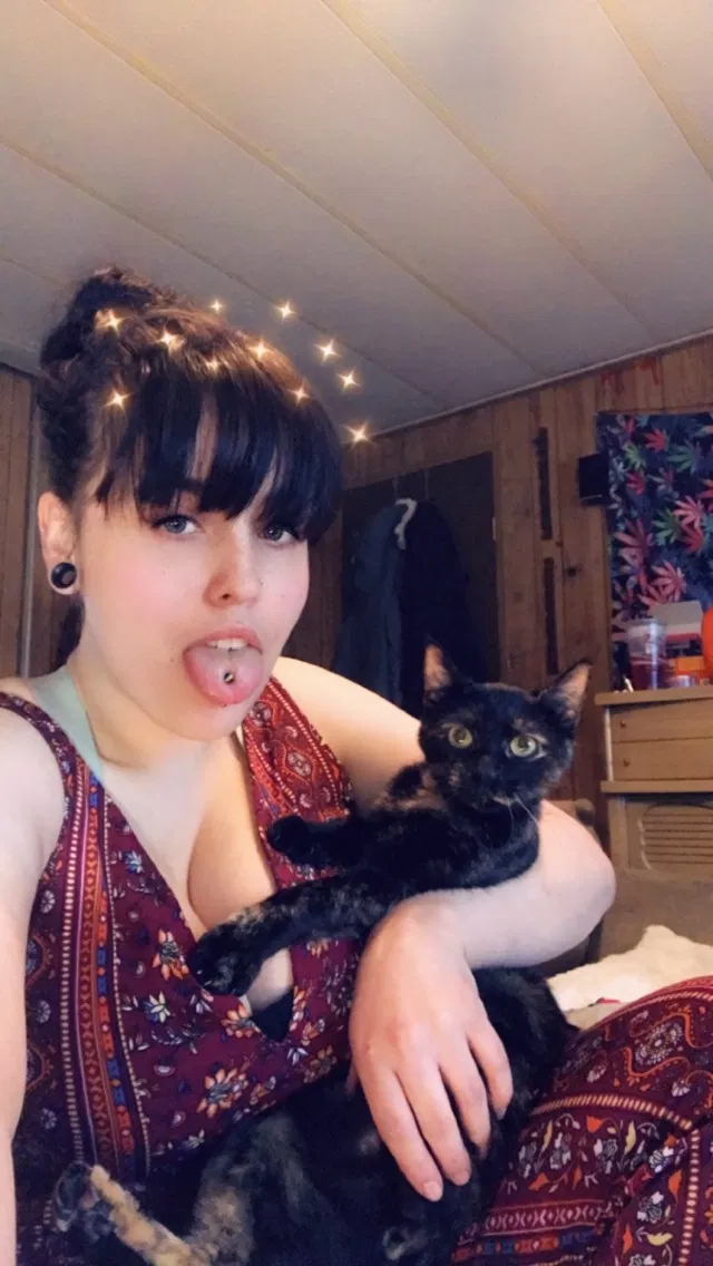 Lost cat in Port Orchard, WA, 98367