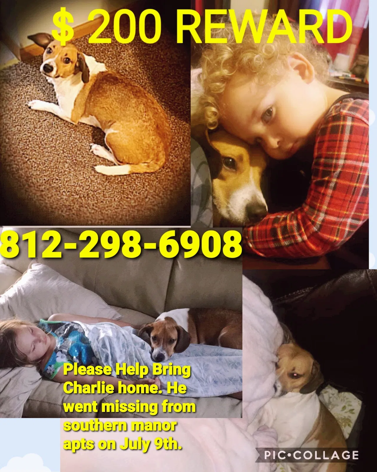 Lost dog in Terre Haute, IN, 47802