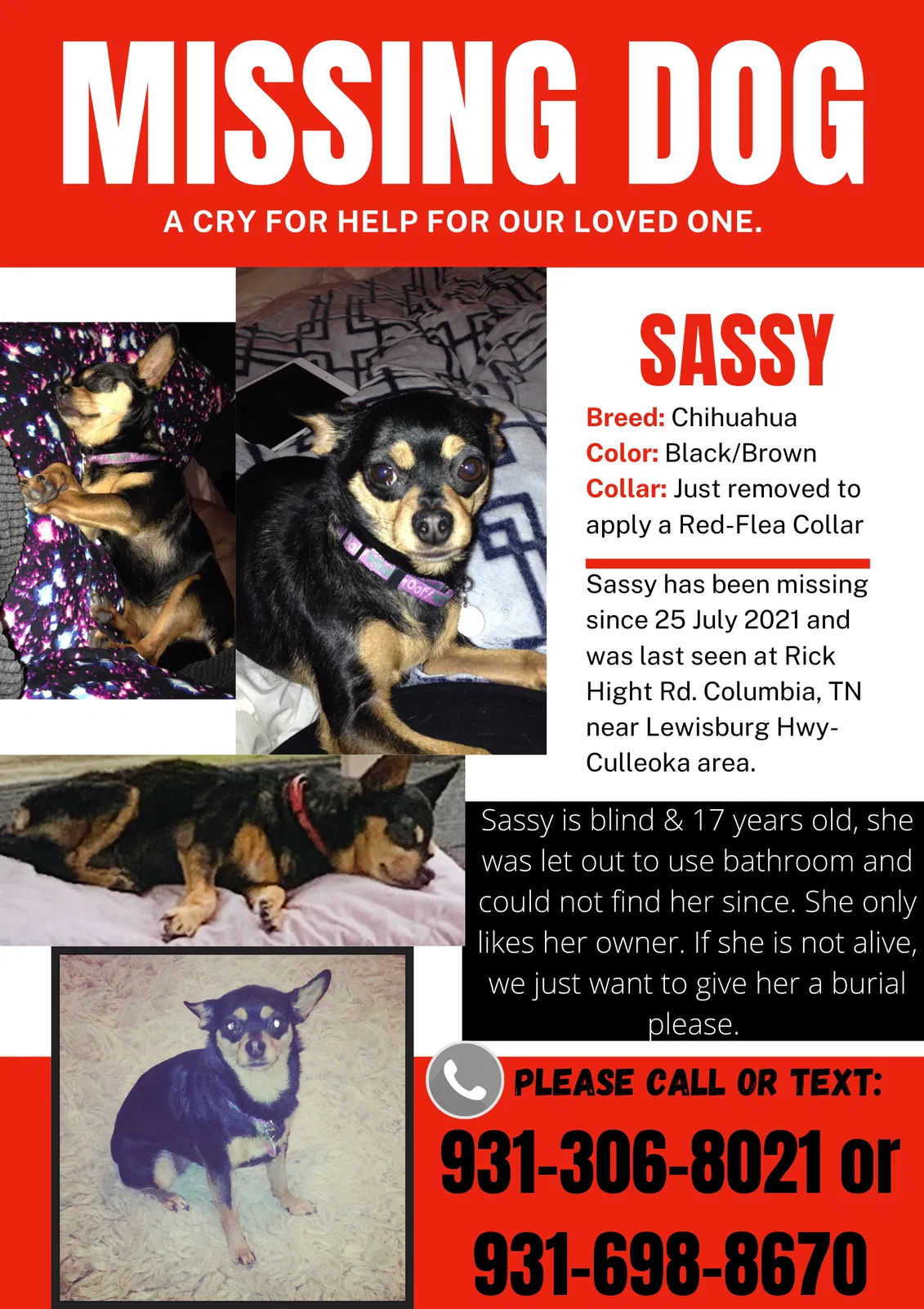 Lost dog in Columbia, TN, 38401