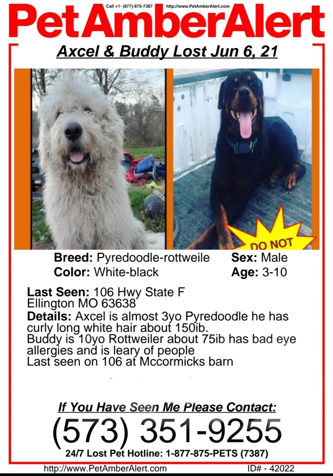 Lost dog in Ellington, MO, 63638