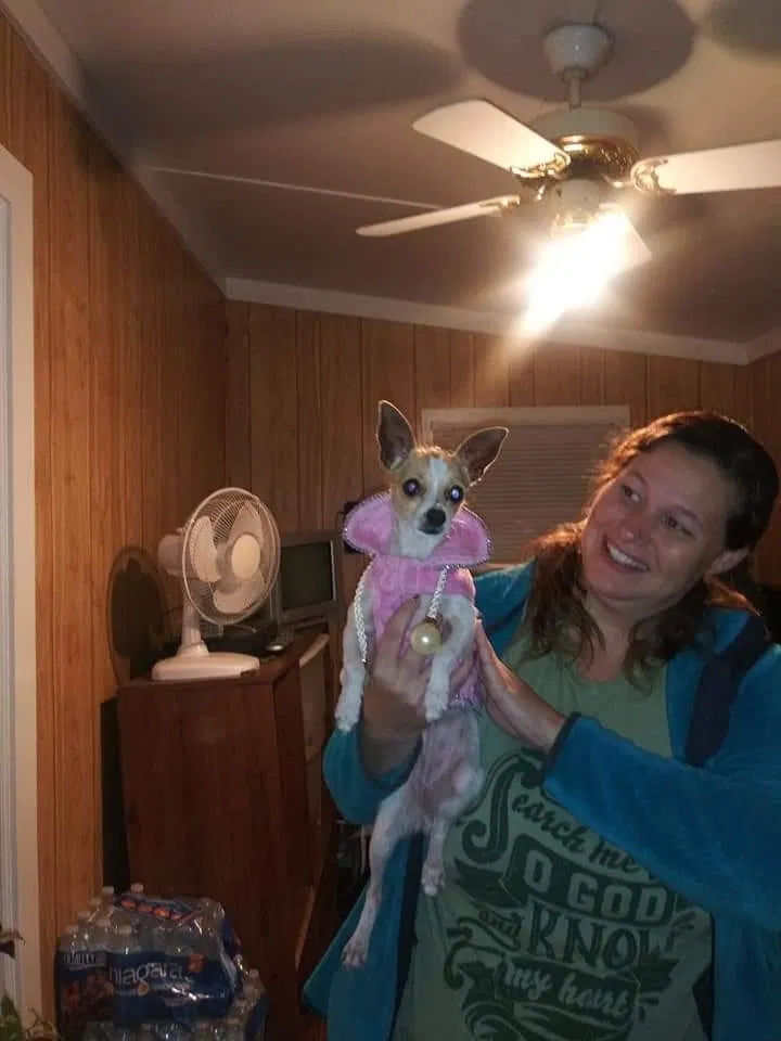 Lost dog in Aragon, GA, 30104